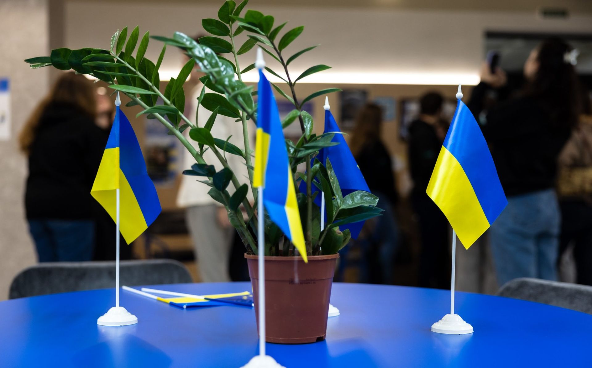 Erasmus+ Programme: 22 new projects to build capacities for 105 organisations in Ukraine