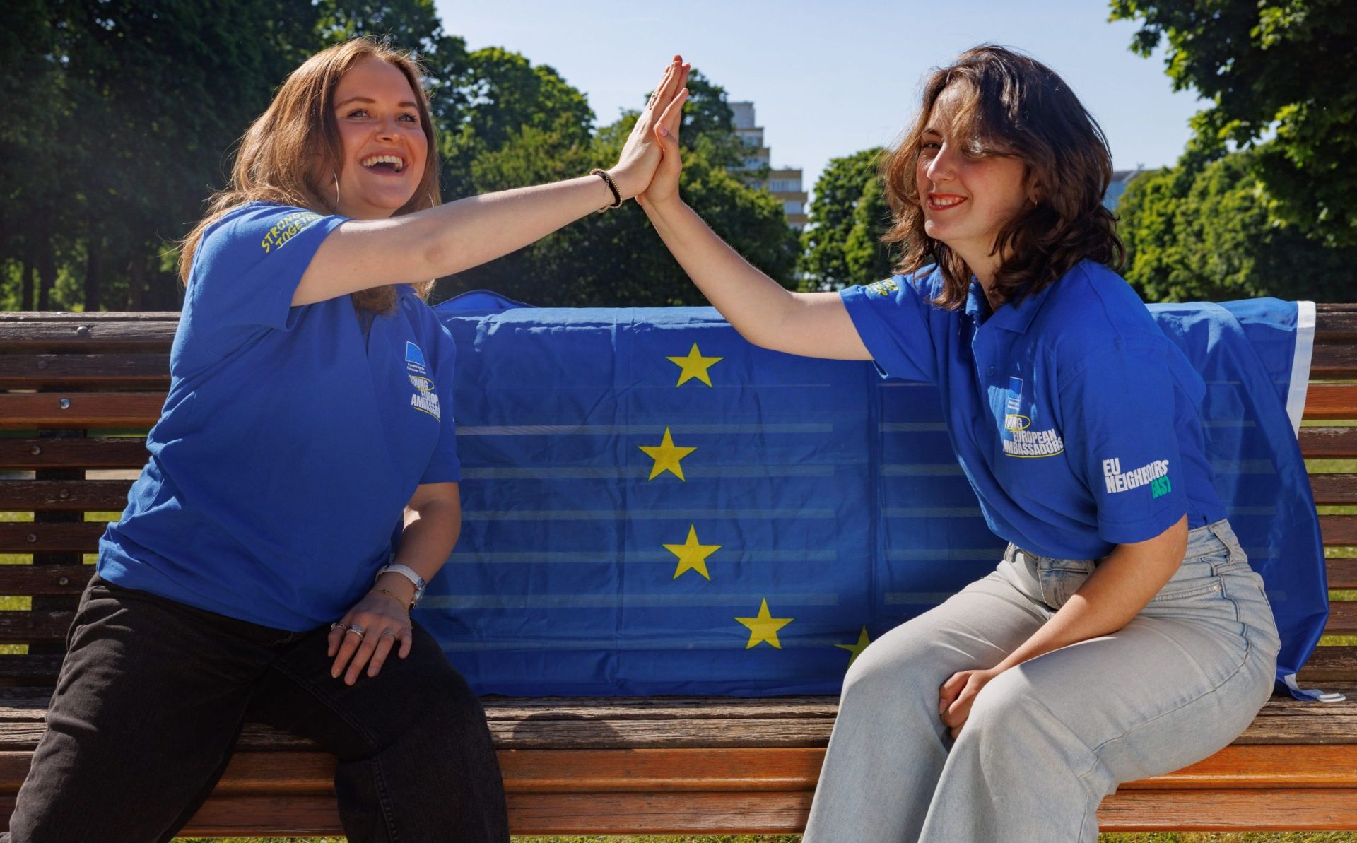 My personal experience as a Young European Diplomat viewing the EU for the first time