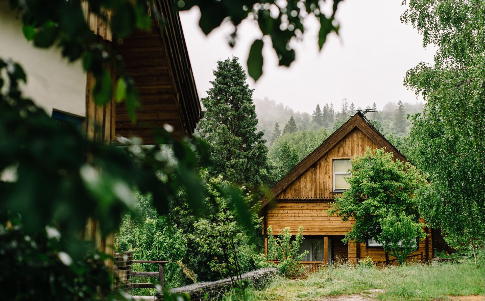 European Solidarity Corps: eco-volunteering in Bulgaria – open to Georgia and Moldova