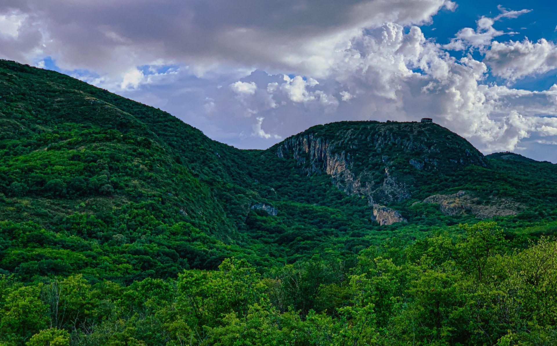 European Environment Agency launches 2026 photo competition – Resilient by Nature