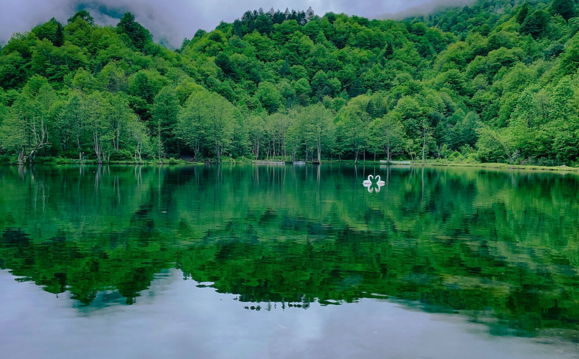 Georgia: EU4Environment Water and Data invites contractor to support communication and awareness raising activities&nbsp;
