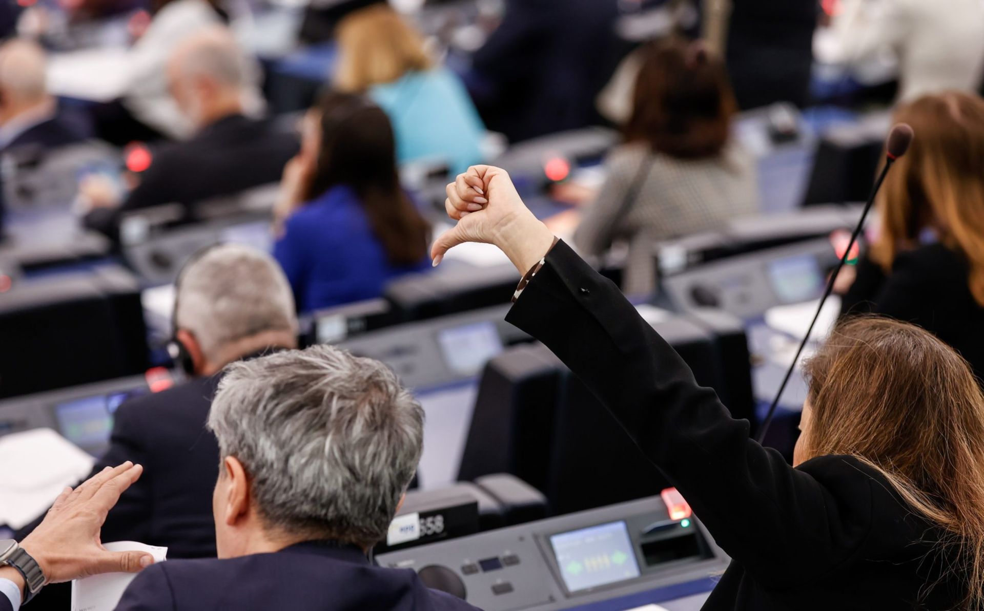 European Parliament: Georgia’s self-proclaimed authorities have no legitimacy