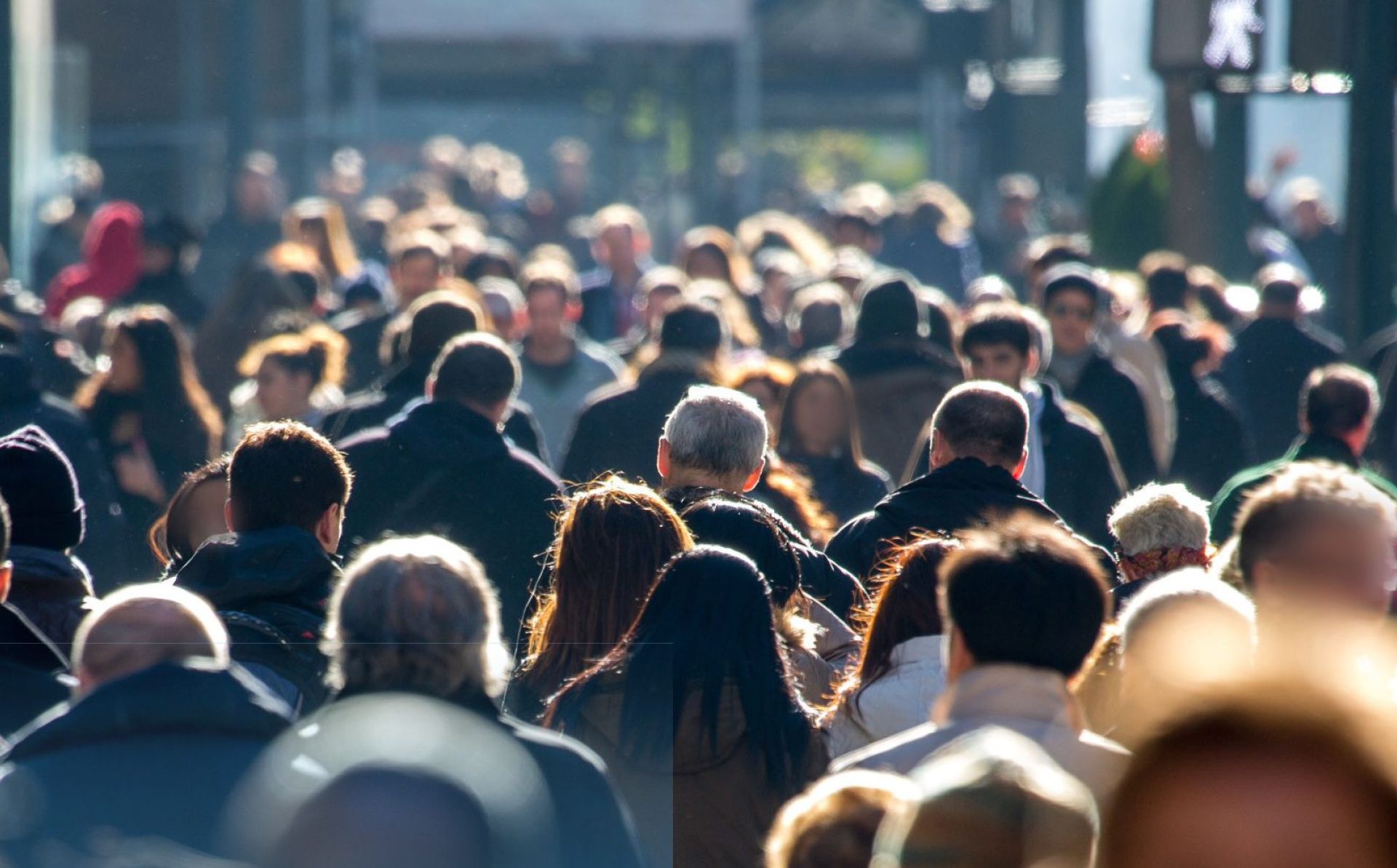 Standard Eurobarometer 105 – Spring 2026