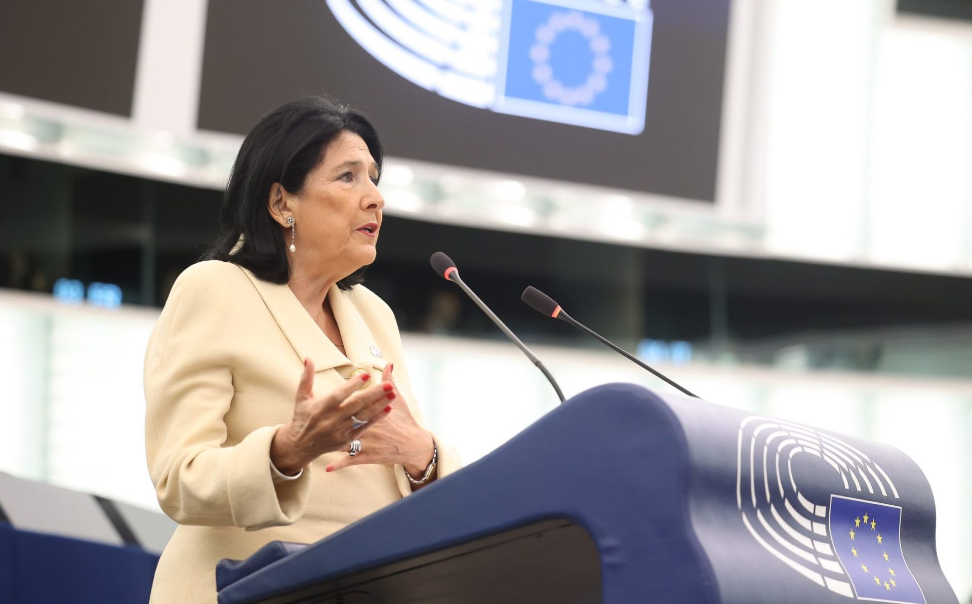 Georgia: President Zourabichvili calls on EU to step up and defend its values
