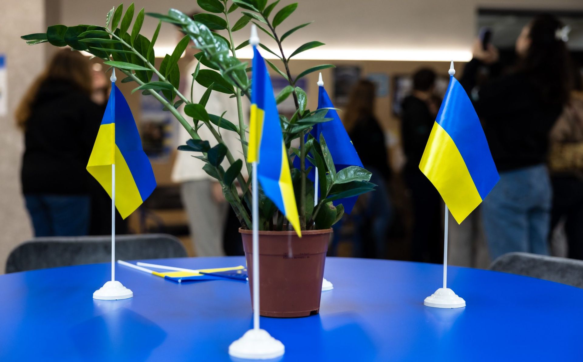 EU4CSOs Empower UA mentoring programme – call announced