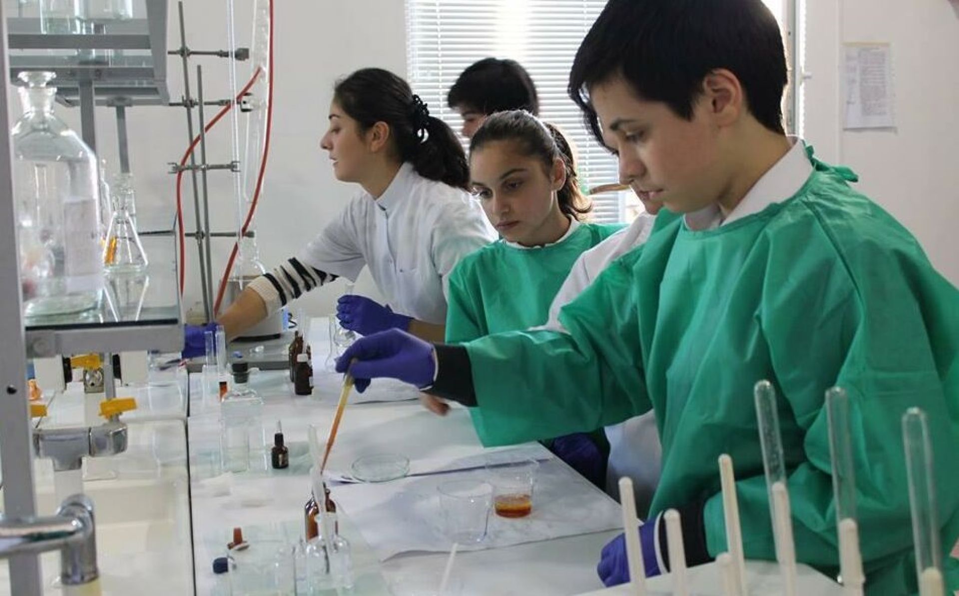Georgia: EU and UNDP conducts labour market research to boost reforms in vocational education and training