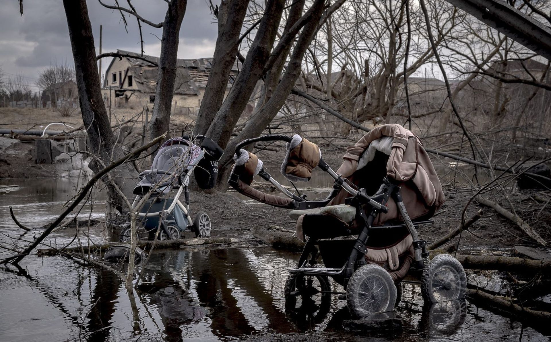 Stolen childhood: the human rights of Ukrainian children after 24 February