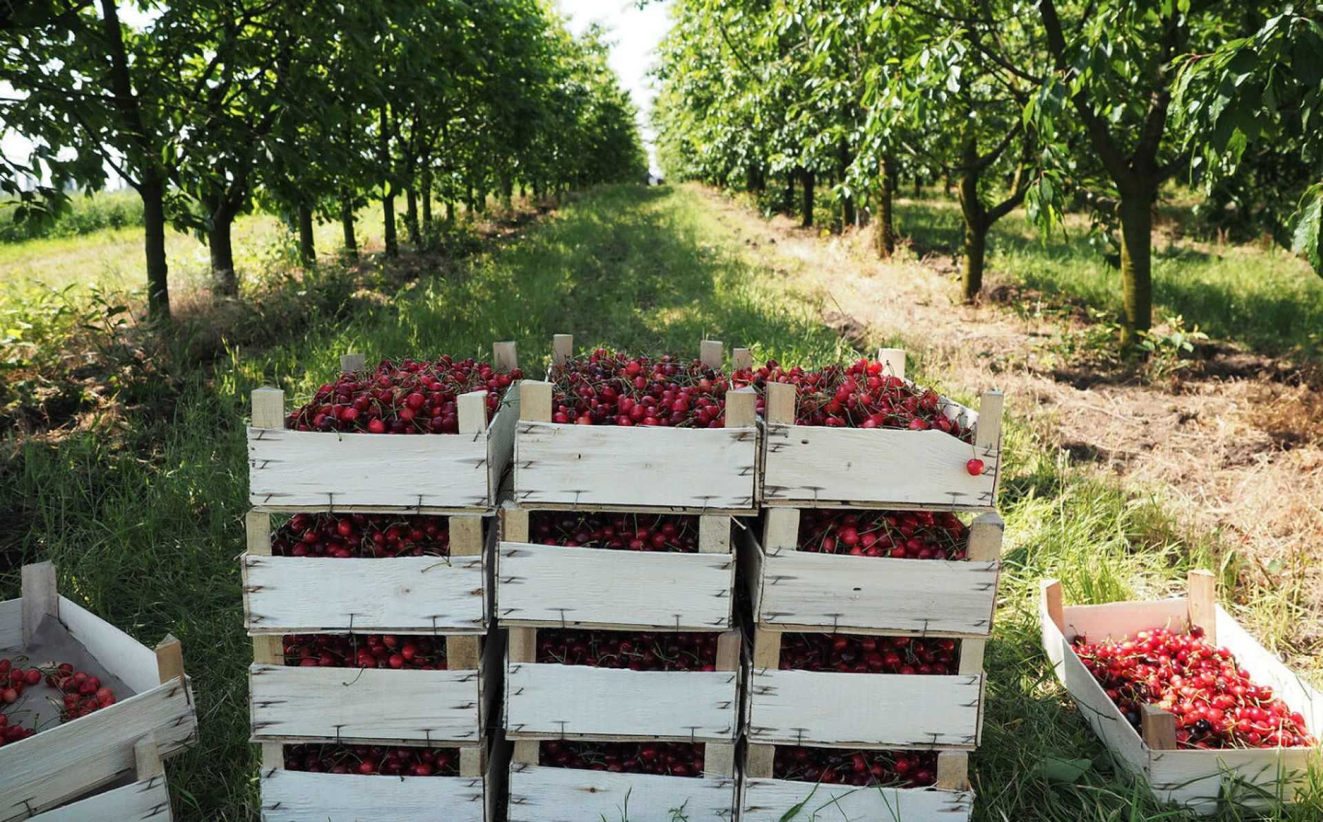 Moldovan exports to the EU increase by 32.3% in 2022