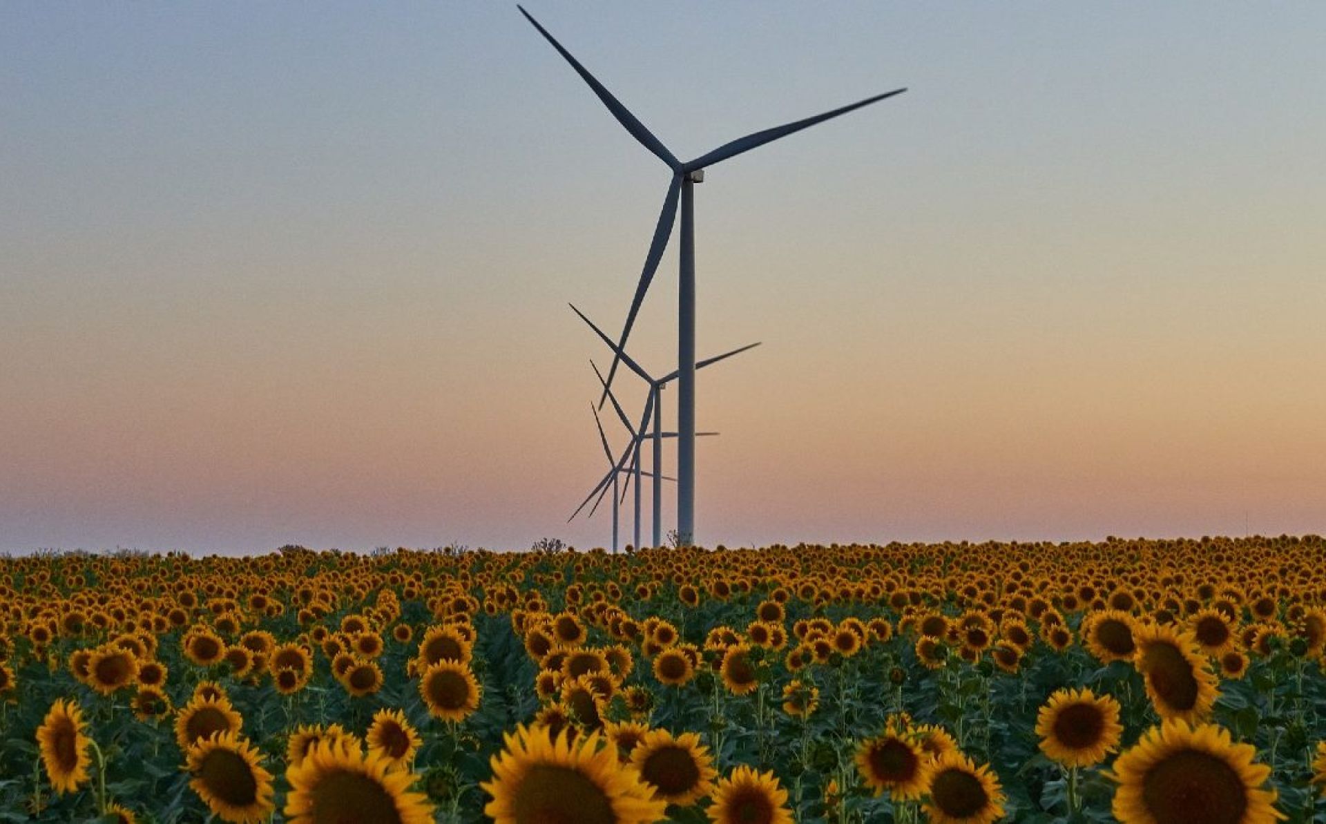 EBRD, EU and partners announce plan to boost renewables in Ukraine