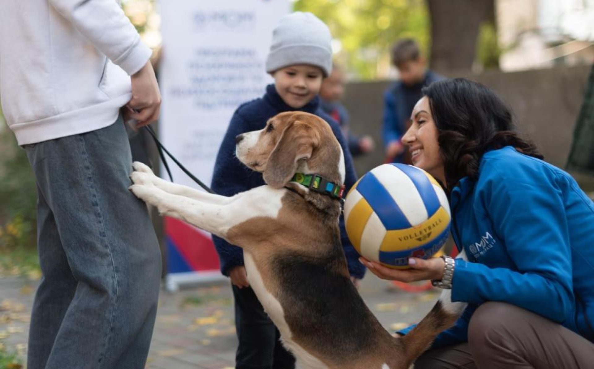 Unconditional love: how dogs are healing the hearts of children in Ukraine