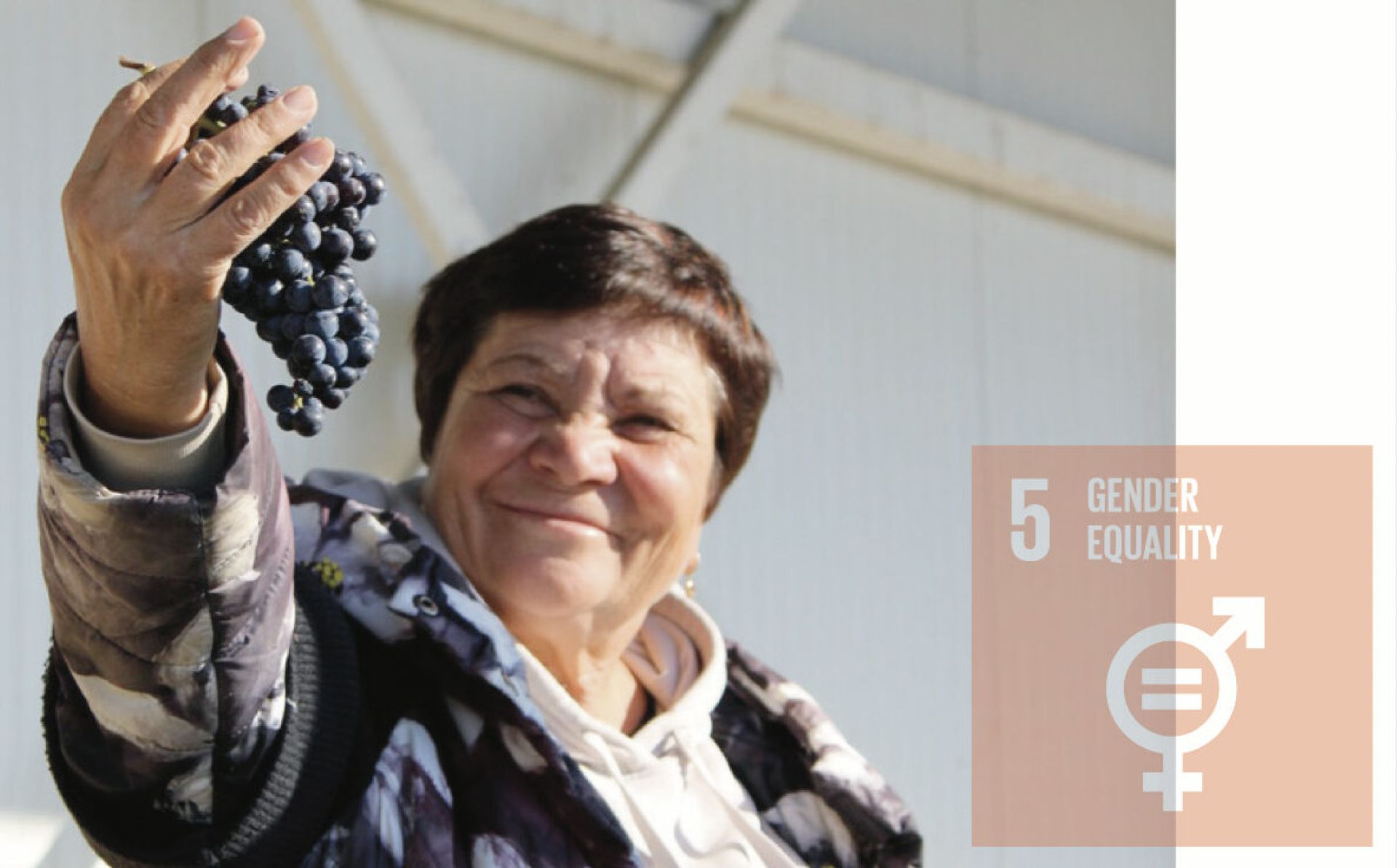 Country report in the field of gender equality of the Republic of Moldova