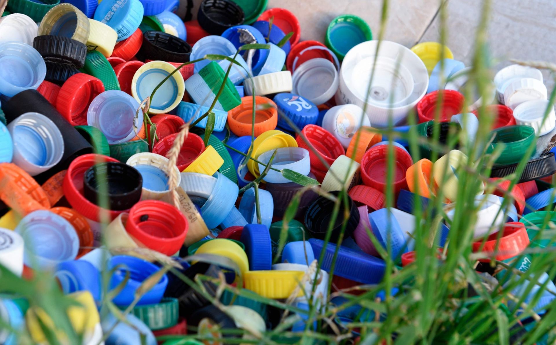 When plastic bags made me a revolutionary
