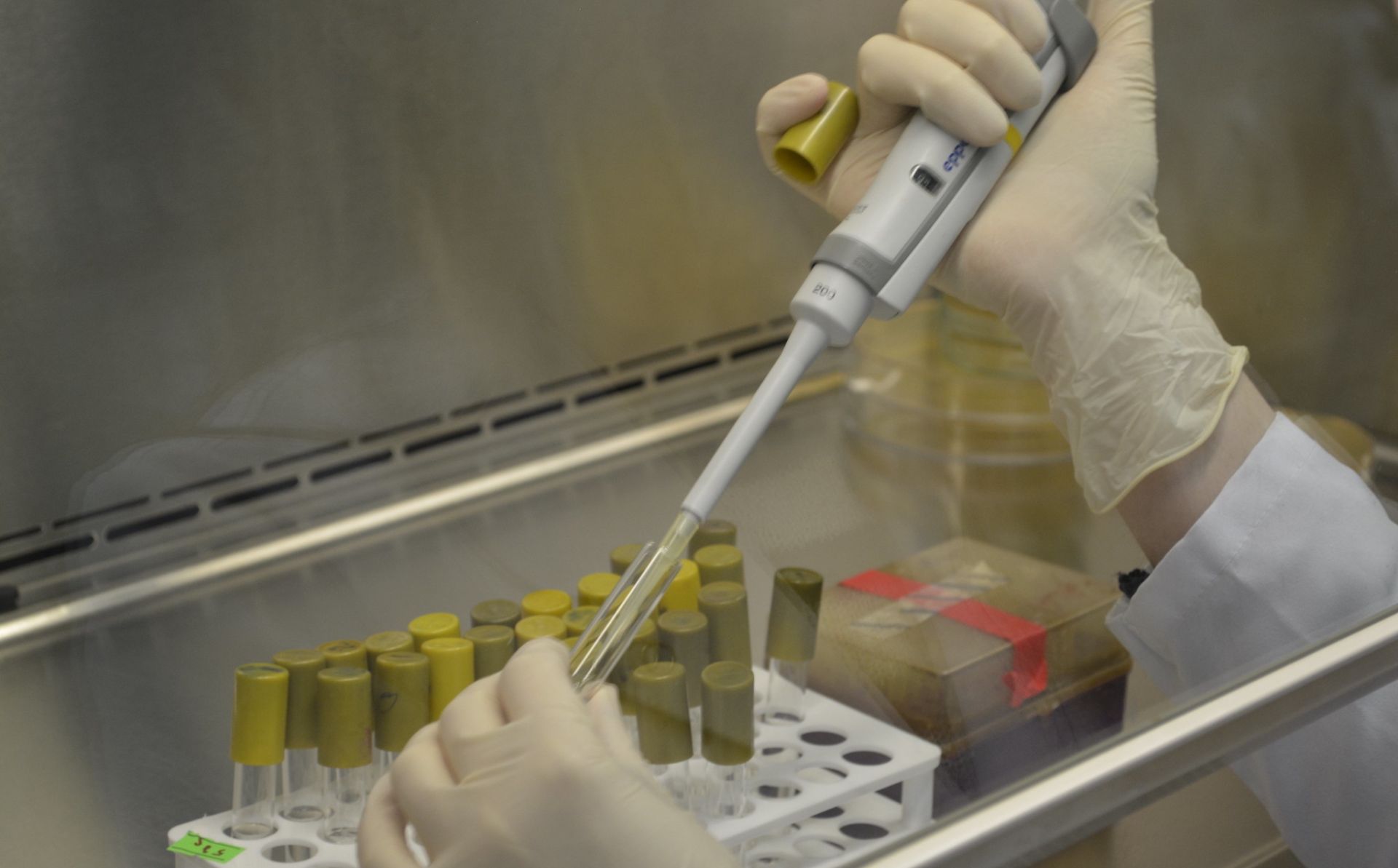 EU steps up support to displaced researchers from Ukraine