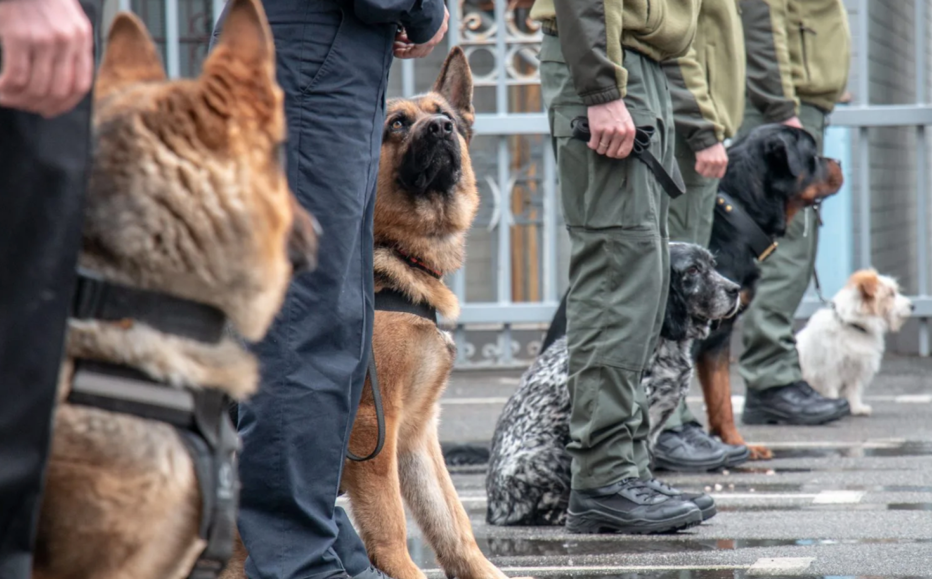TOPCOP project sets law enforcement training priorities