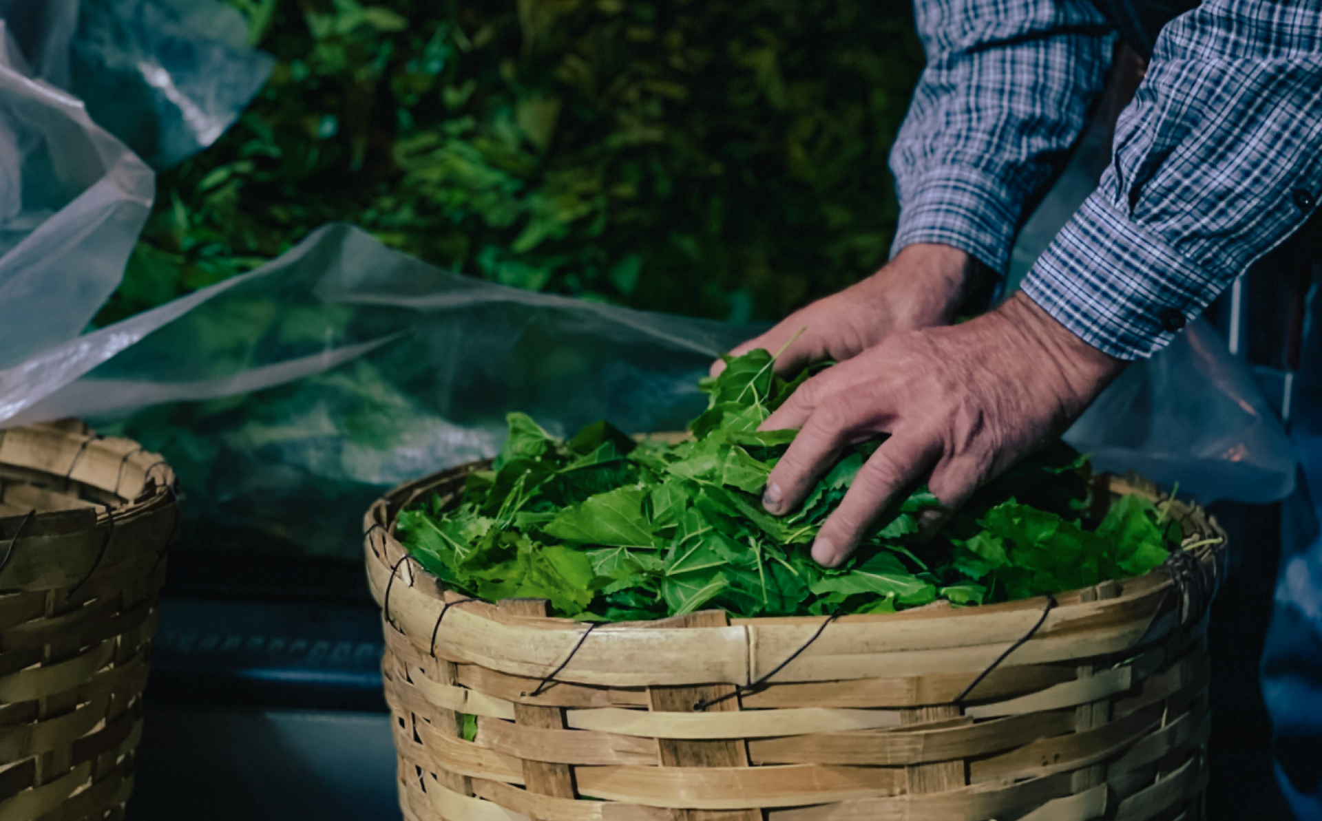 Obțineți până la 6.000 de euro pentru start-up-uri agroalimentare