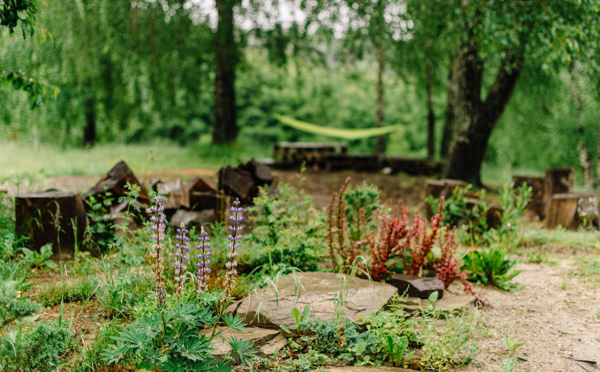 International Day of Forests: EU4Environment supporting sustainable forestry in the Eastern Partnership 