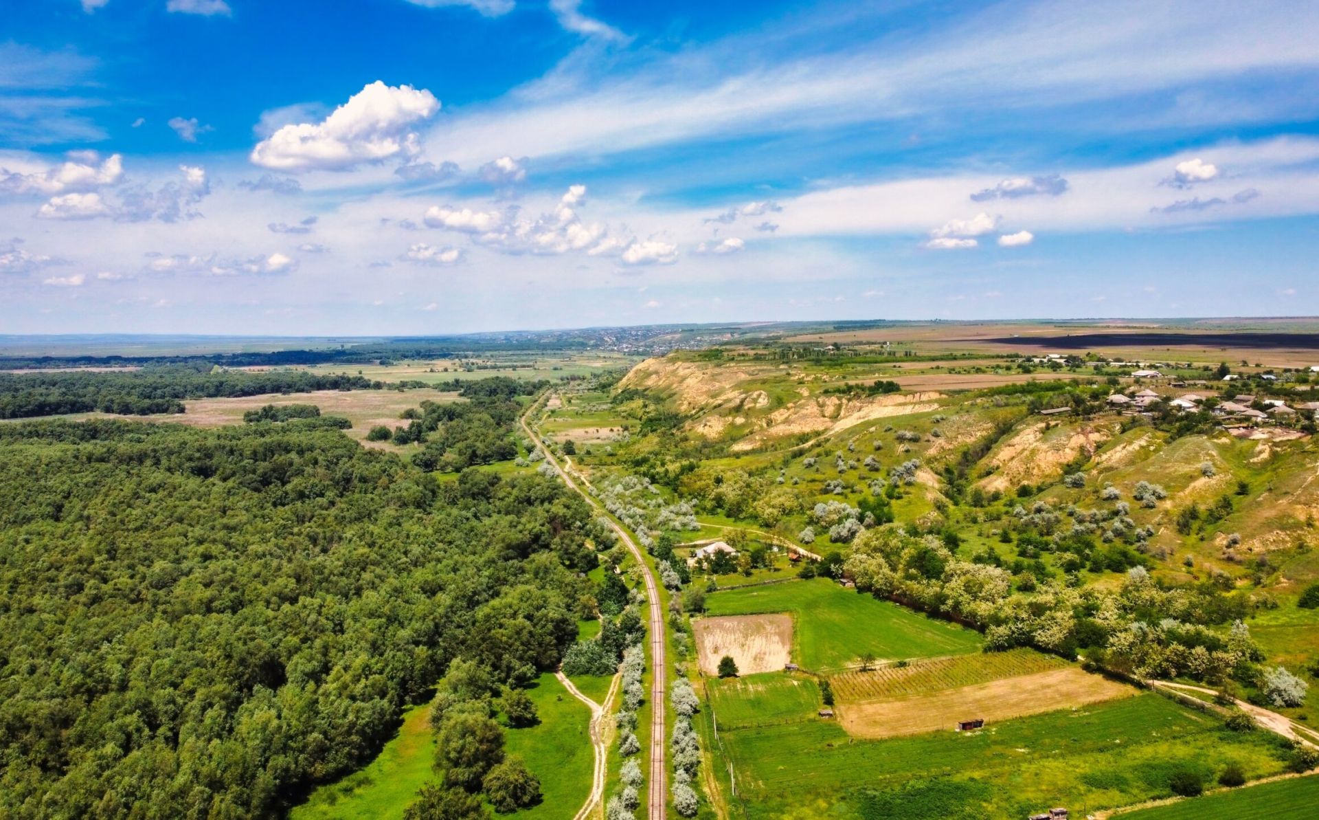 International Day of Forests: EU helping Moldova to develop sustainable forests