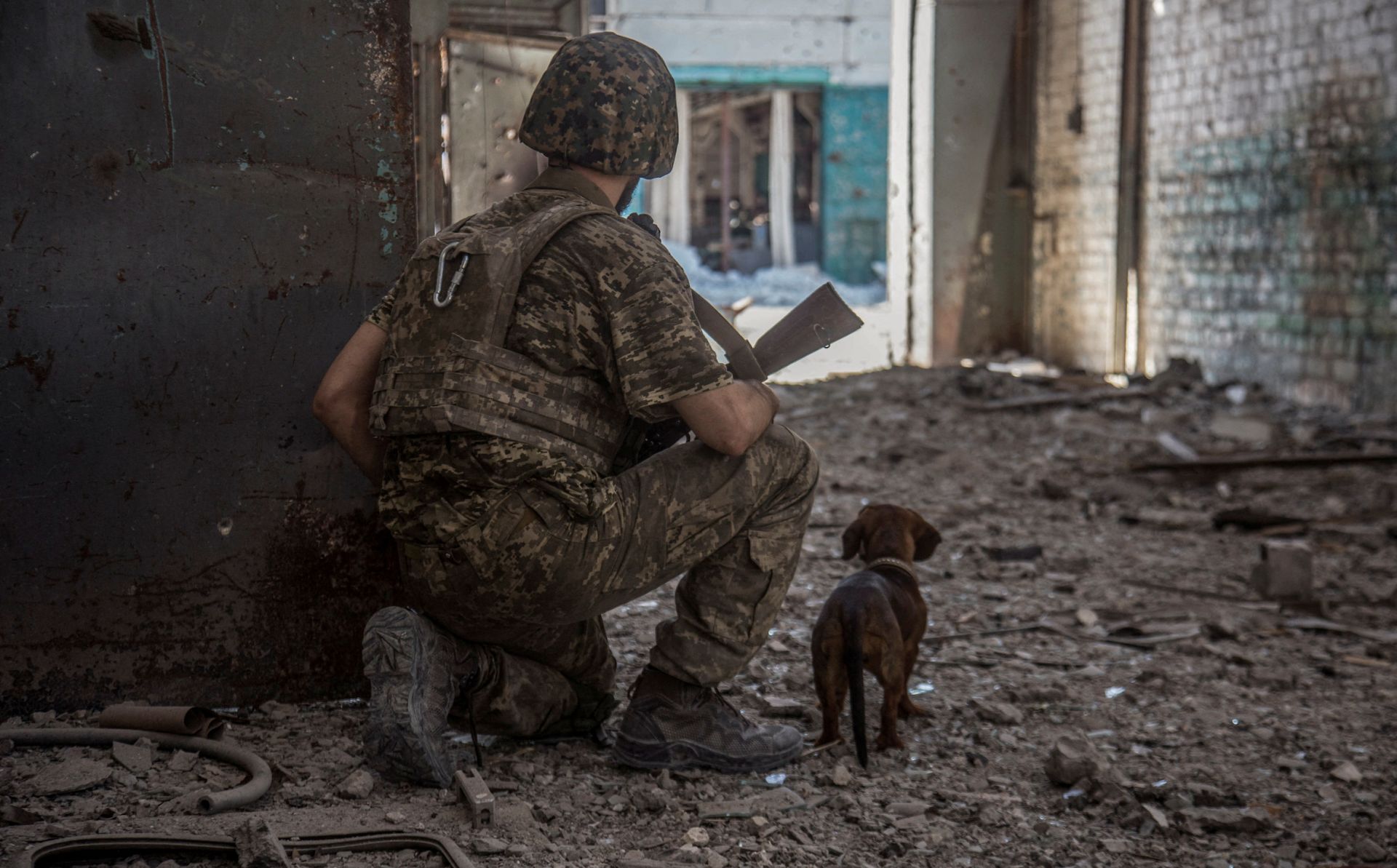EU4Youth study highlights challenges facing young veterans in Ukraine 