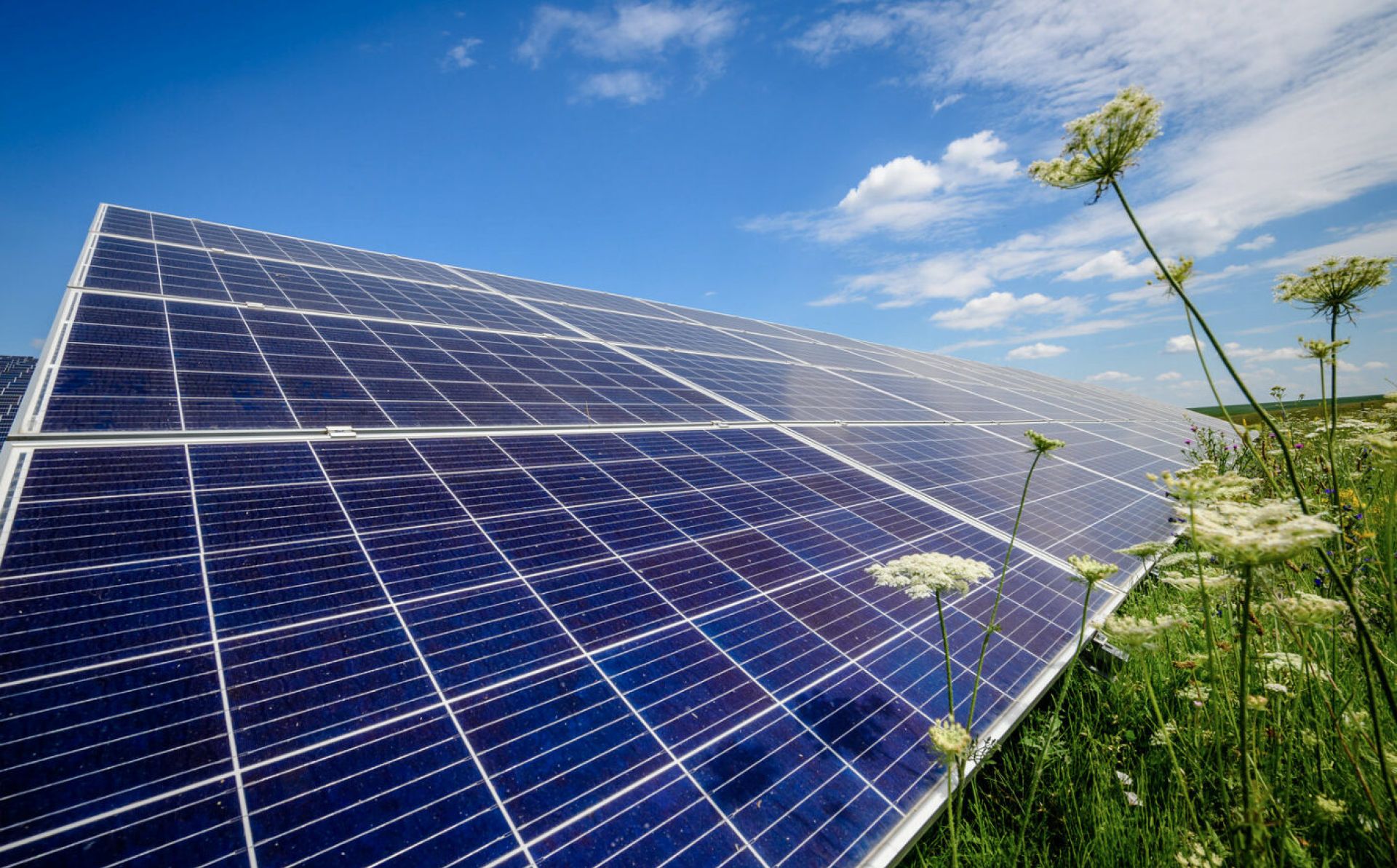 Energy Community Secretariat commits to help Ukraine’s green rebuilding planning