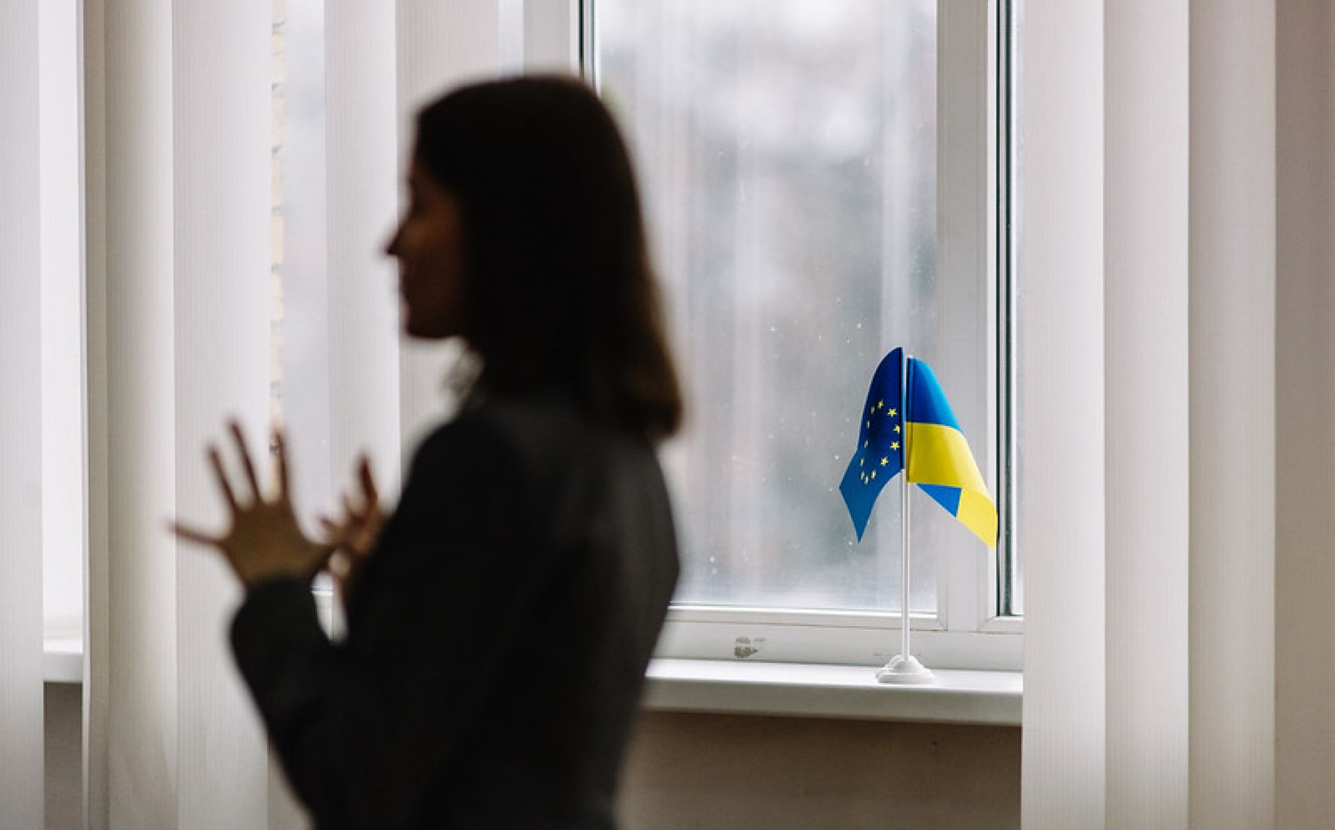 Українські університети виграли 35 нових проєктів Жан Моне з питань впровадження європейської інтеграції 