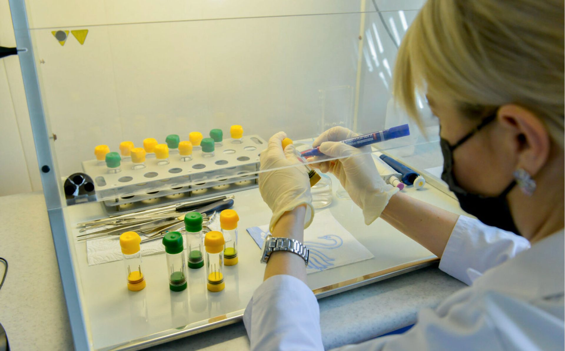 EU and Ukraine restart cooperation on drug and alcohol monitoring