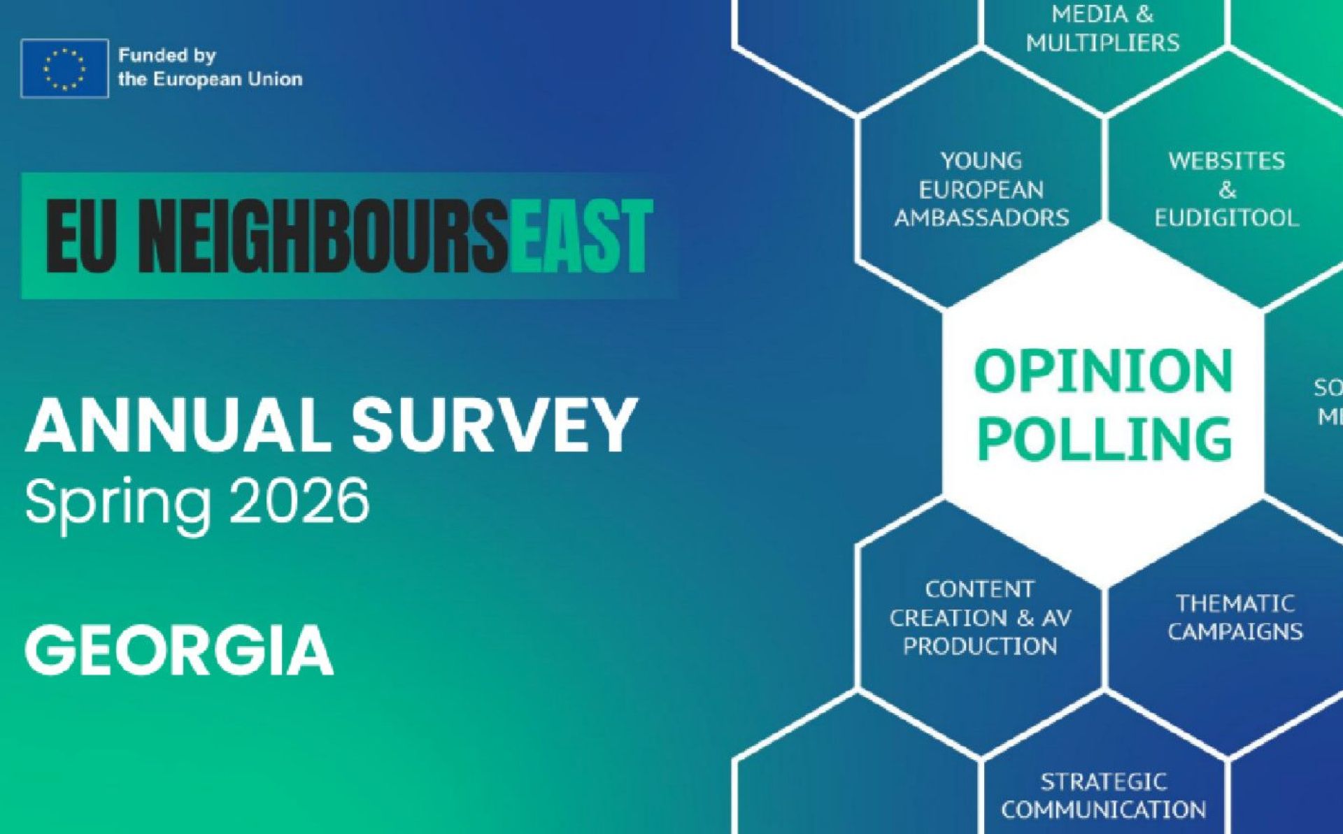 Georgia annual survey 2026 – country report