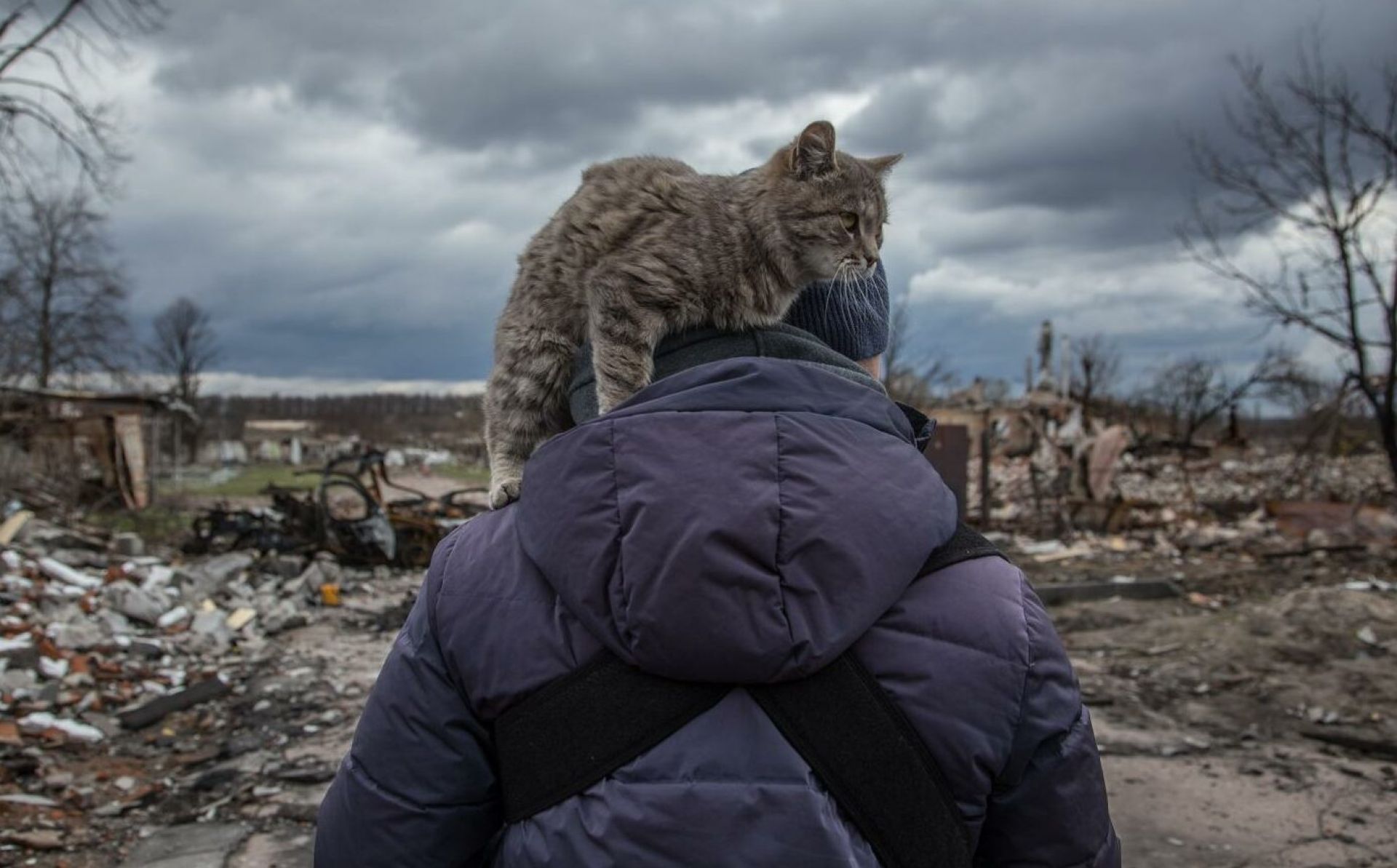 EU and UNDP-supported psychological hotline for war victims launched in Ukraine