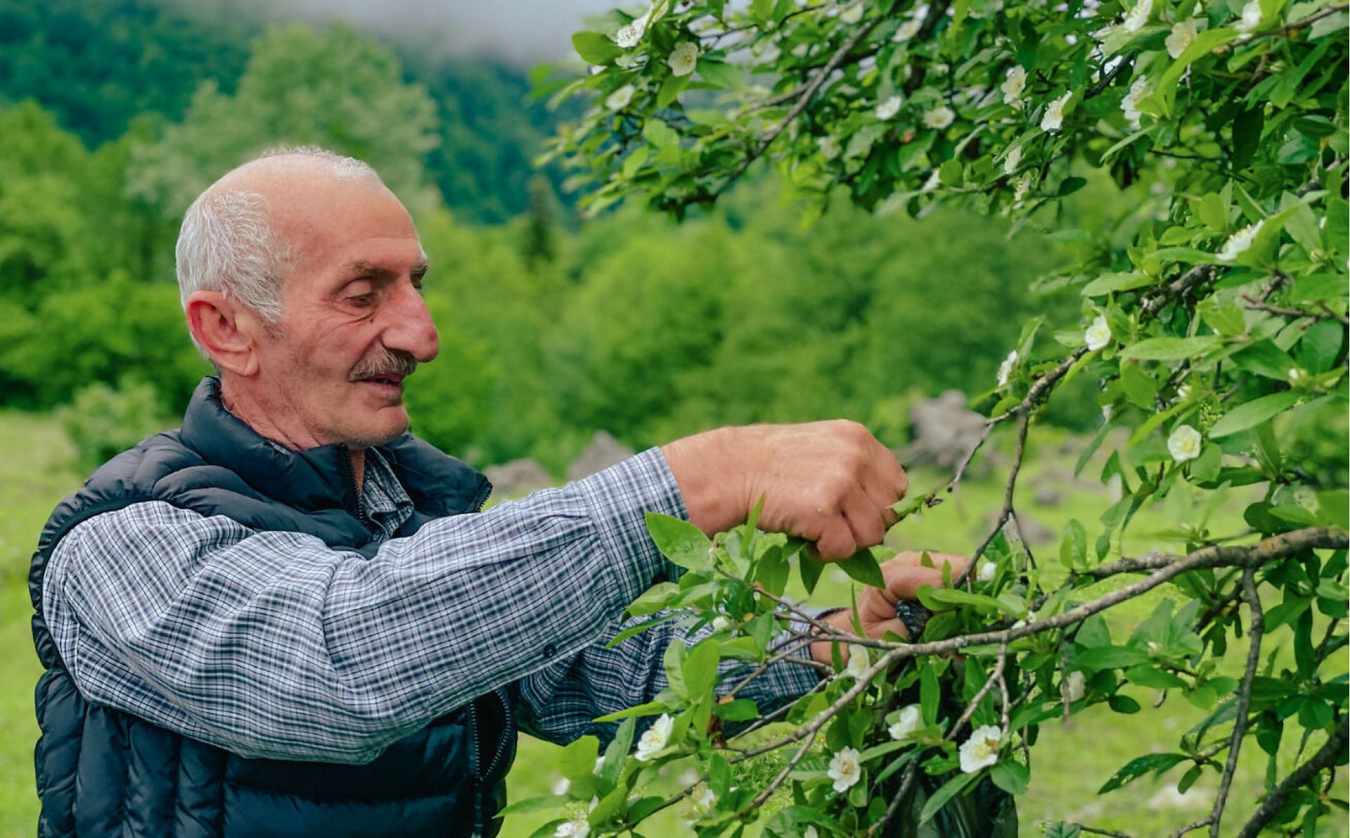 Georgia: grants up to €9,000 for innovative ideas on climate change mitigation and adaptation