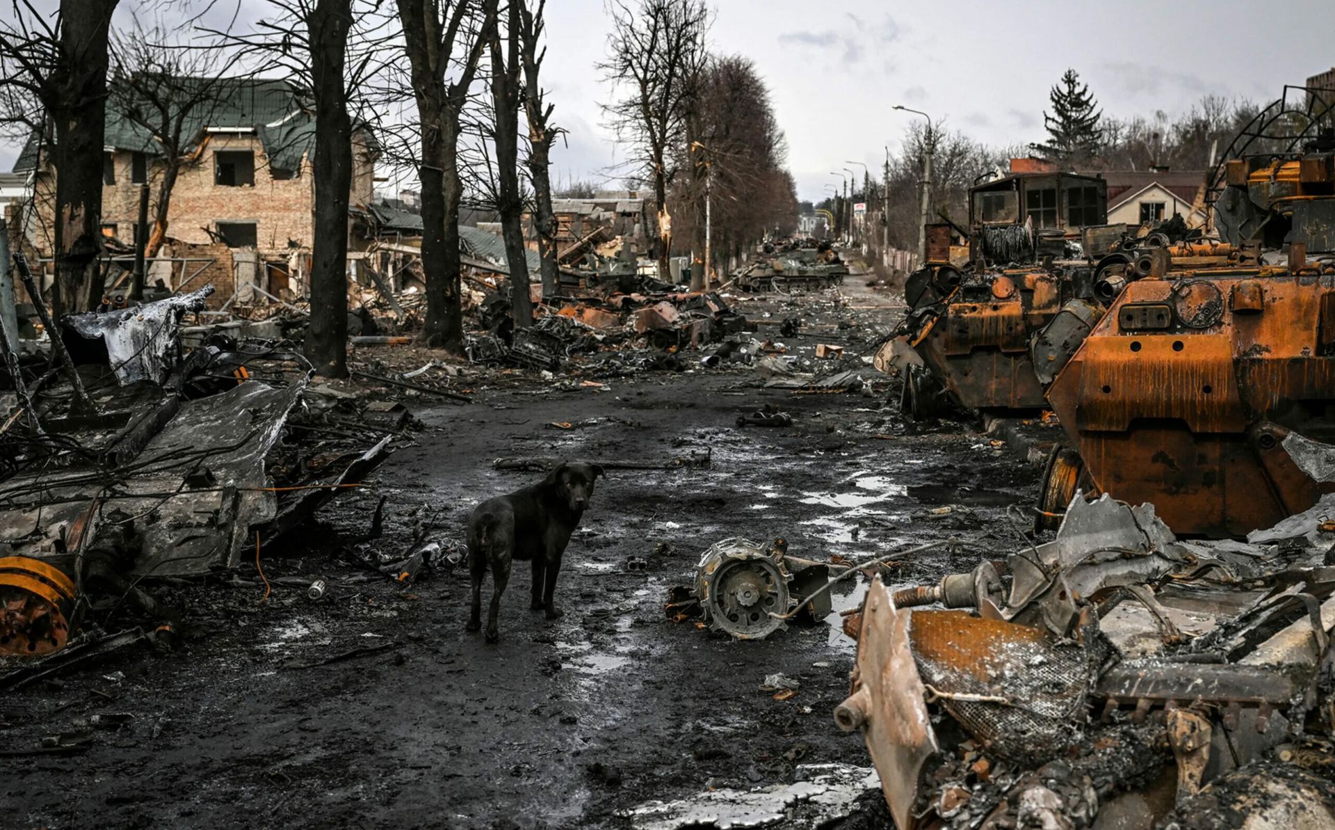 EU: Russian authorities are responsible for atrocities in Bucha and other Ukrainian towns