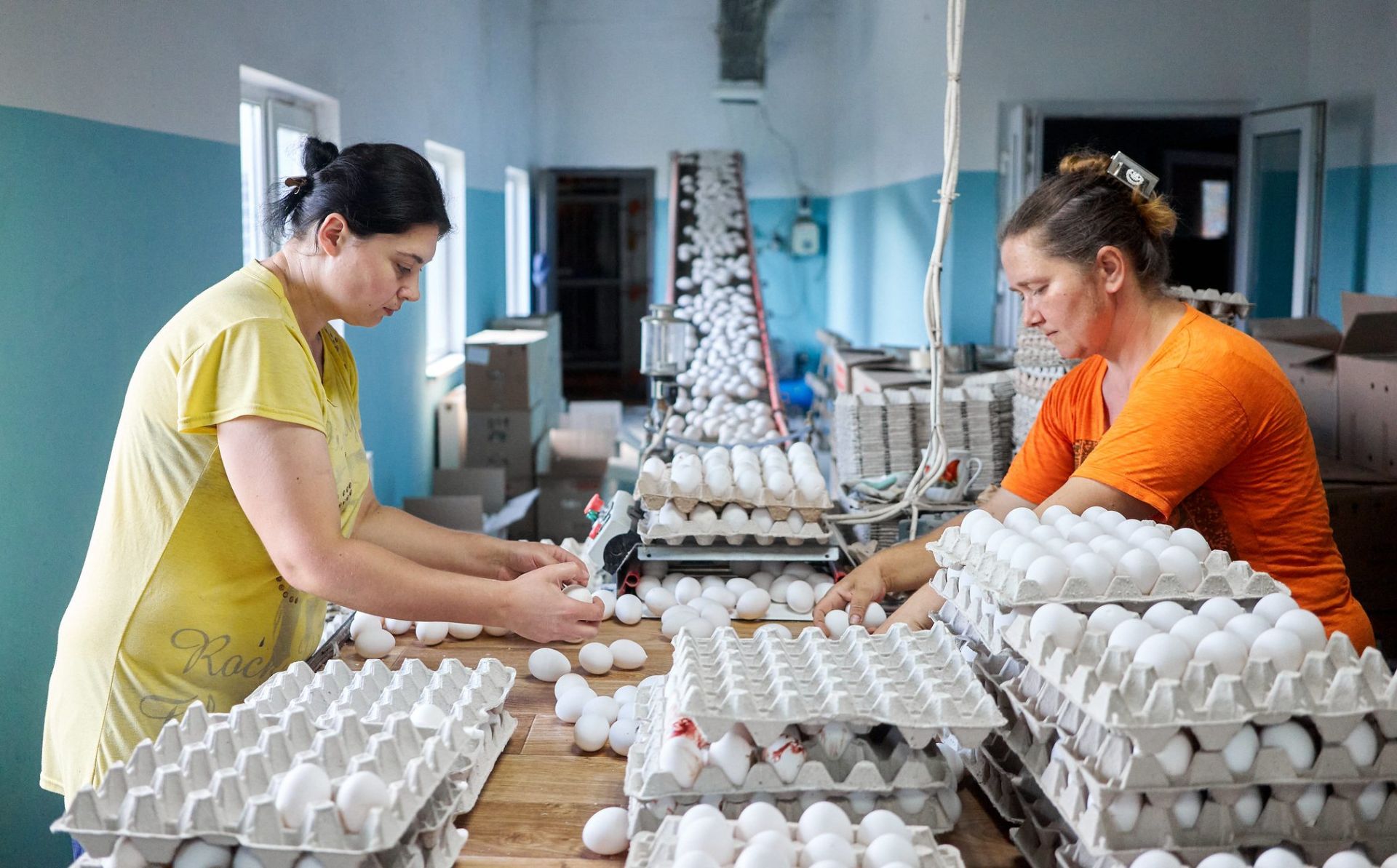 Belarusian Helsinki Committee: List of issues on the implementation of CEDAW