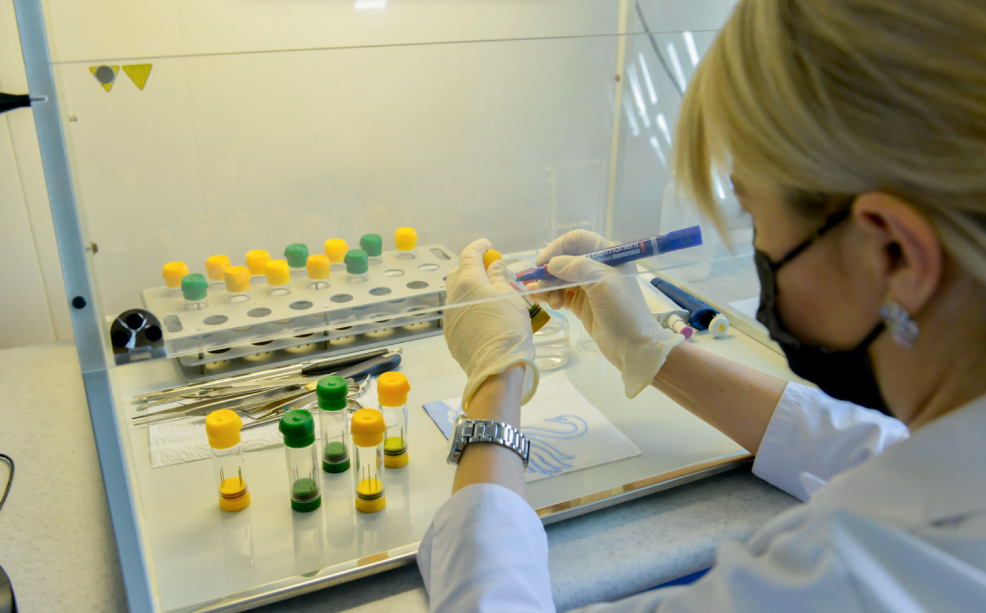 Moldova a aderat la programul de cercetare și inovare Orizont Europa