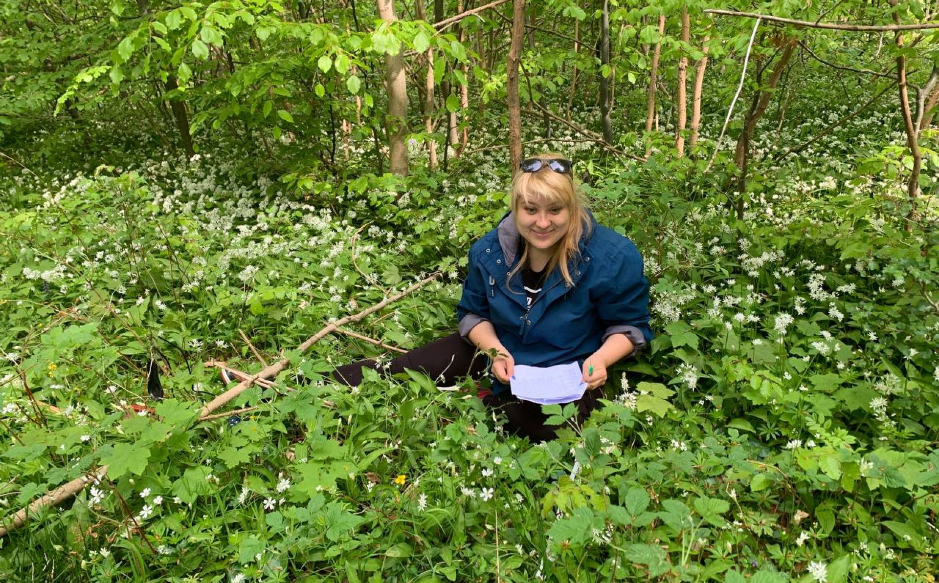 Connecting the dots of nature