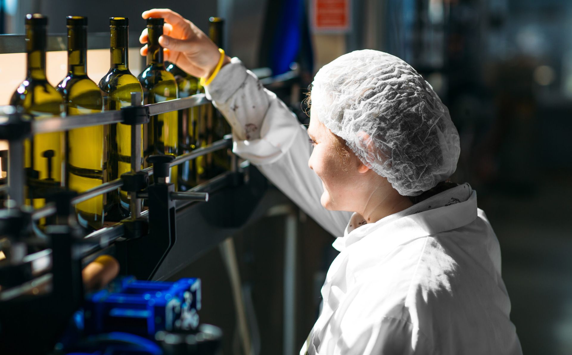 Shilda Winery: Energy Efficient Winery in Georgia