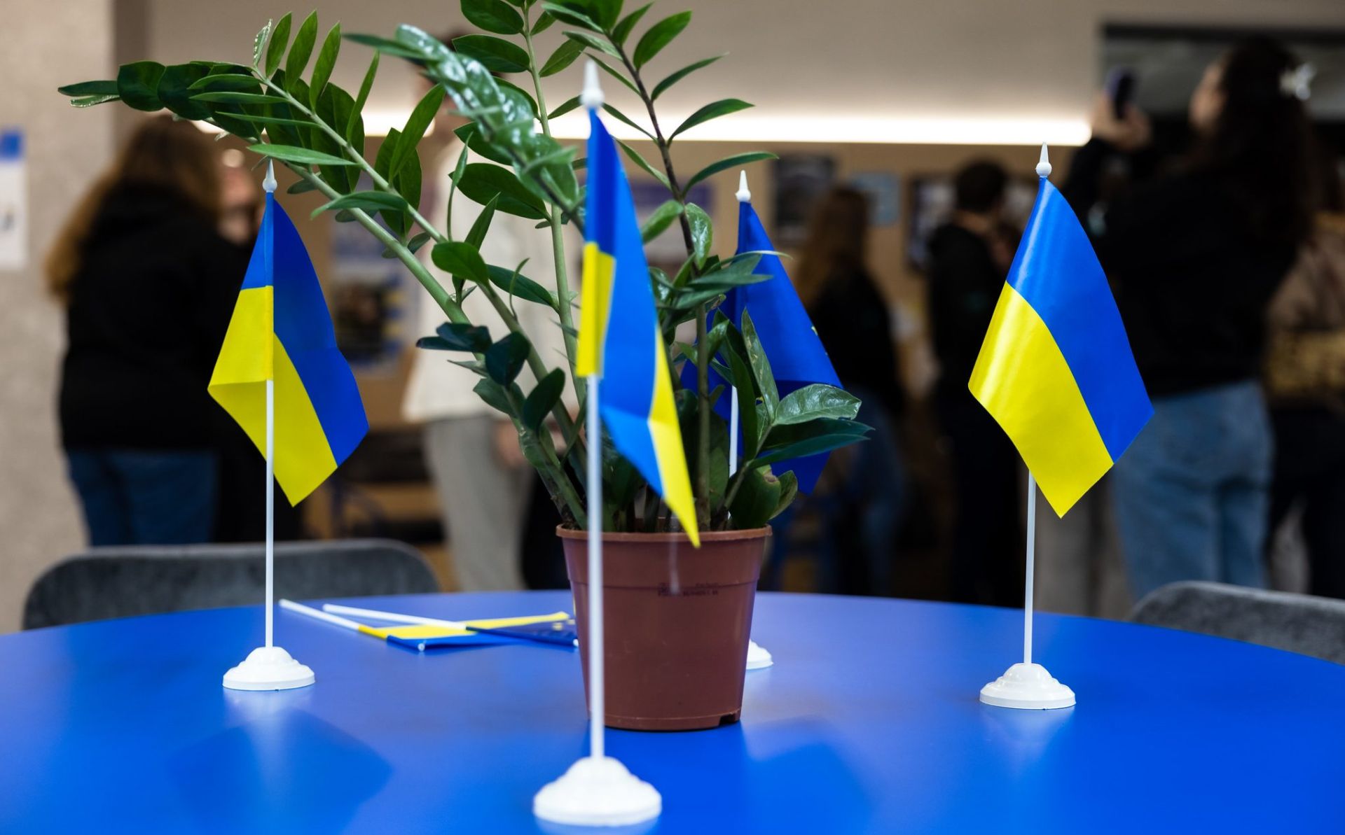 Запущено програму EU4Statistics Ukraine для підтримки відновлення України та вступу до ЄС