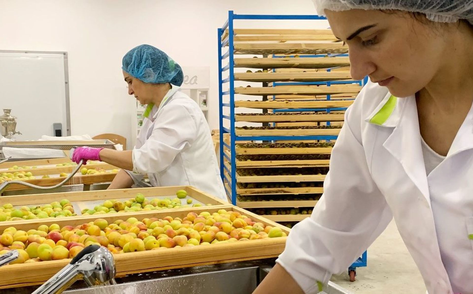 Call for applications for organisations supporting small and medium-sized enterprises in Syunik, Armenia