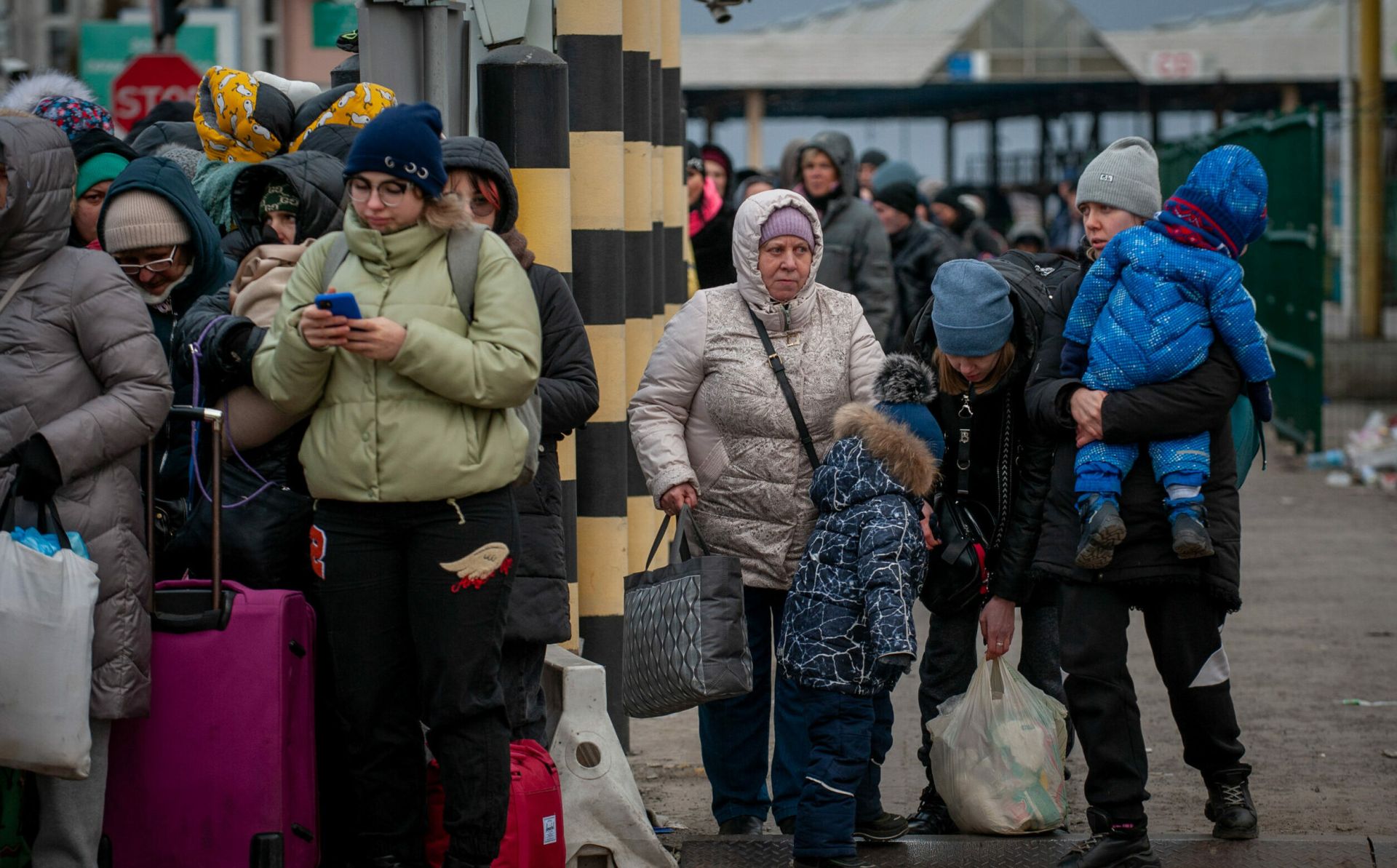Profile of refugees from a gender perspective: Republic of Moldova