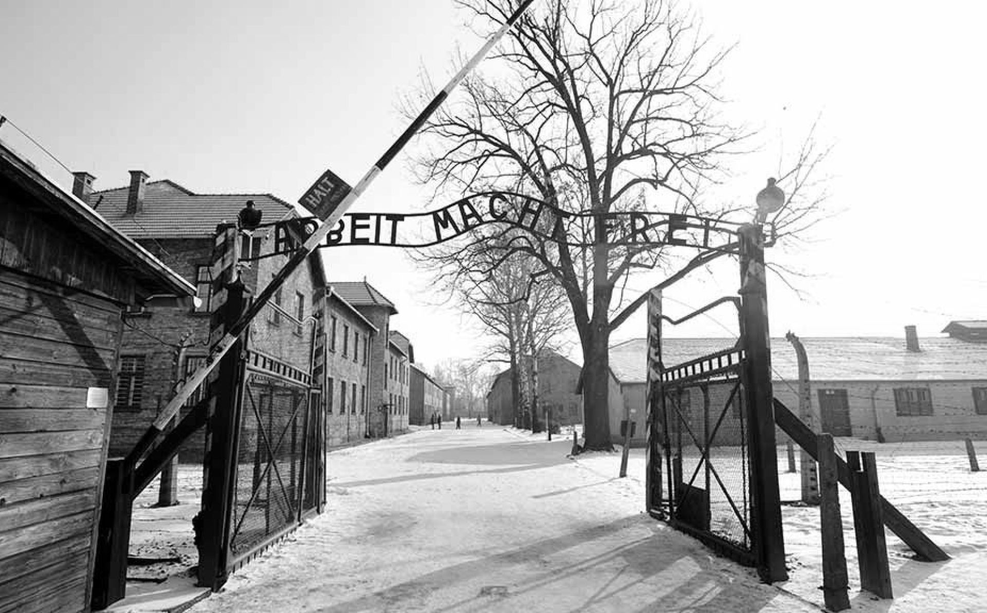 Holocaust Remembrance Day: ‘We are determined to combat antisemitism in Europe’, European Council says