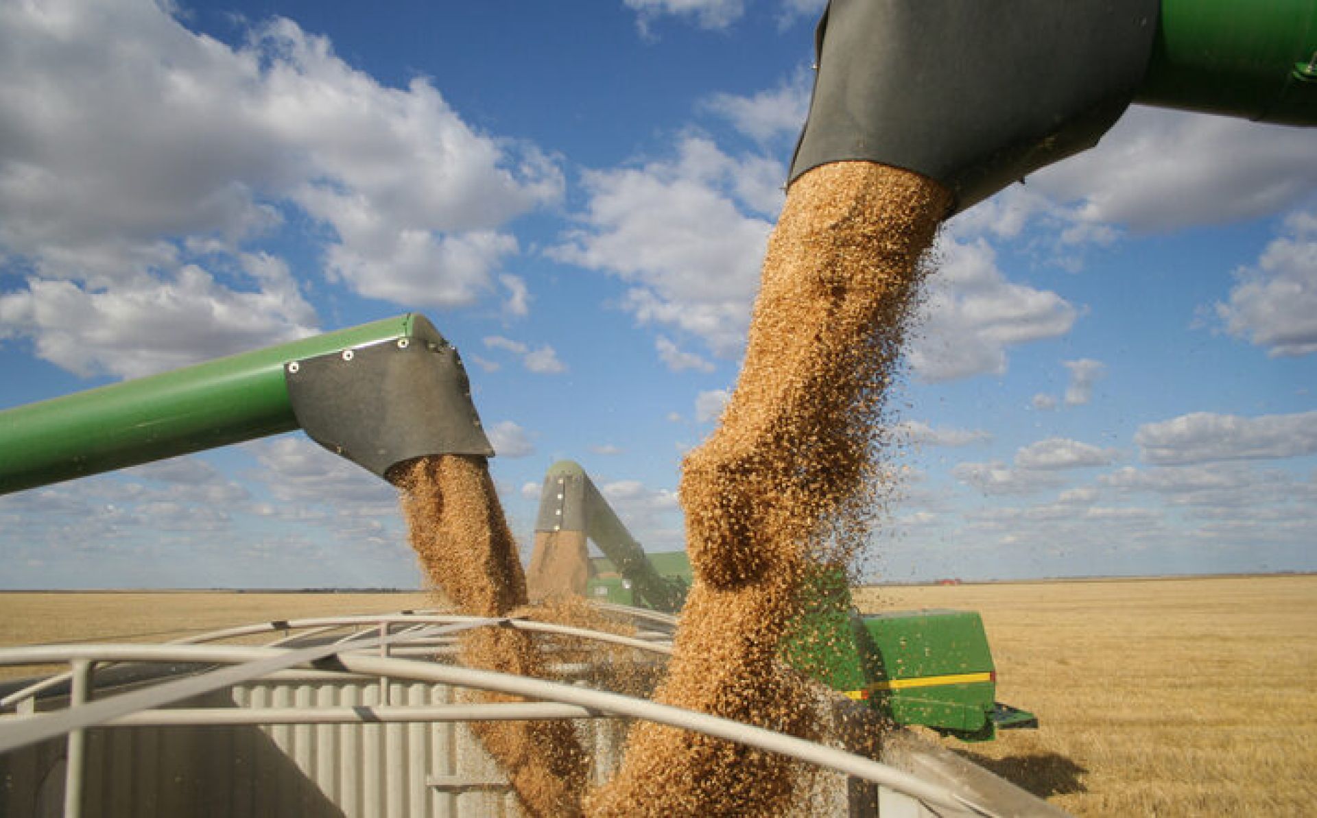 EU condemns Moscow’s decision to terminate Black Sea Grain Initiative: ‘Russia continues weaponizing food’
