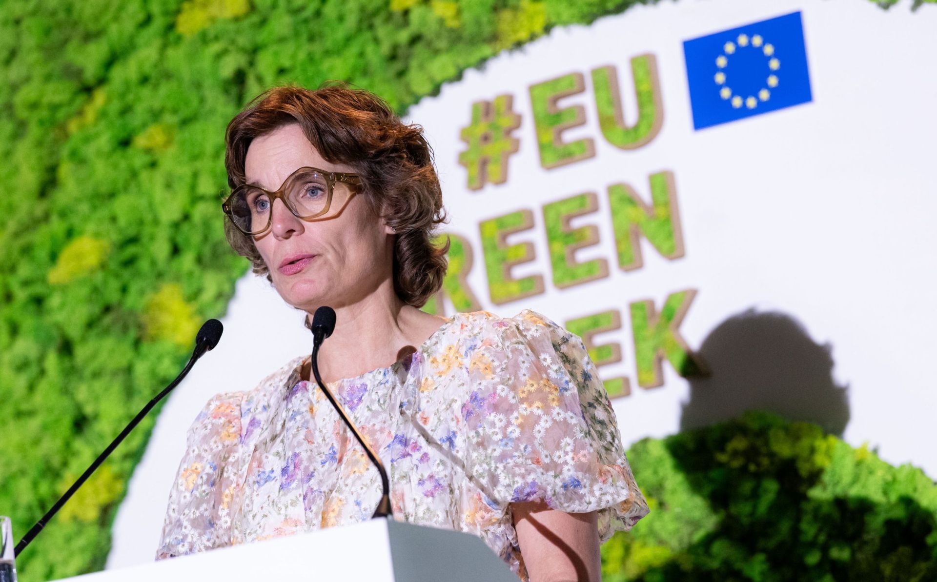 The green transition and enlargement: is climate policy the EU’s strongest bridge?