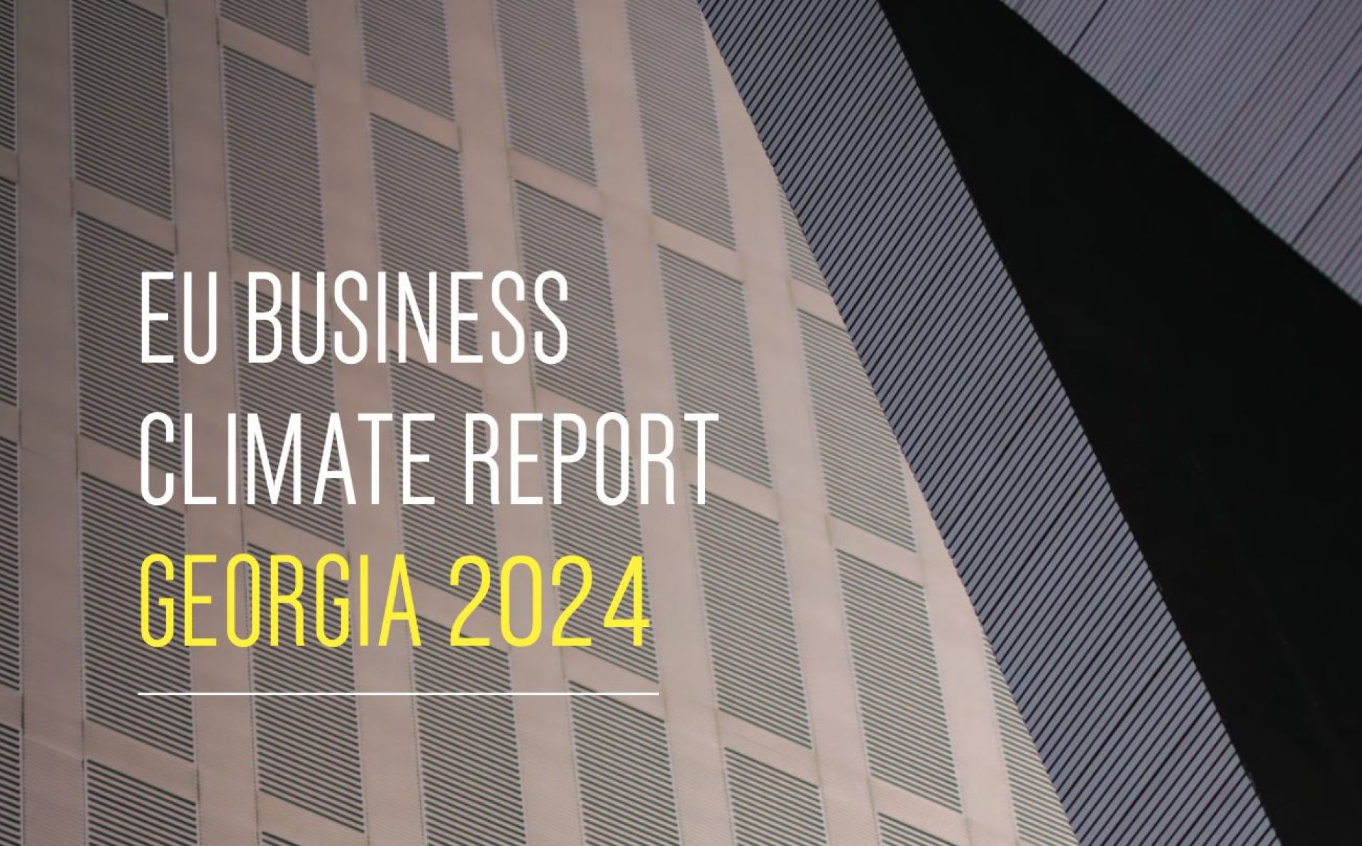 EU Business Climate Report Georgia 2024
