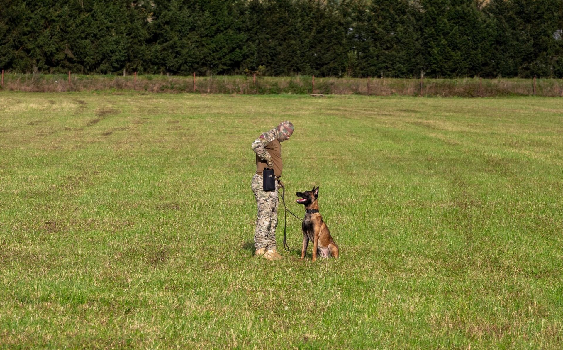 EU delivers new pack of mine detection dogs to Ukraine