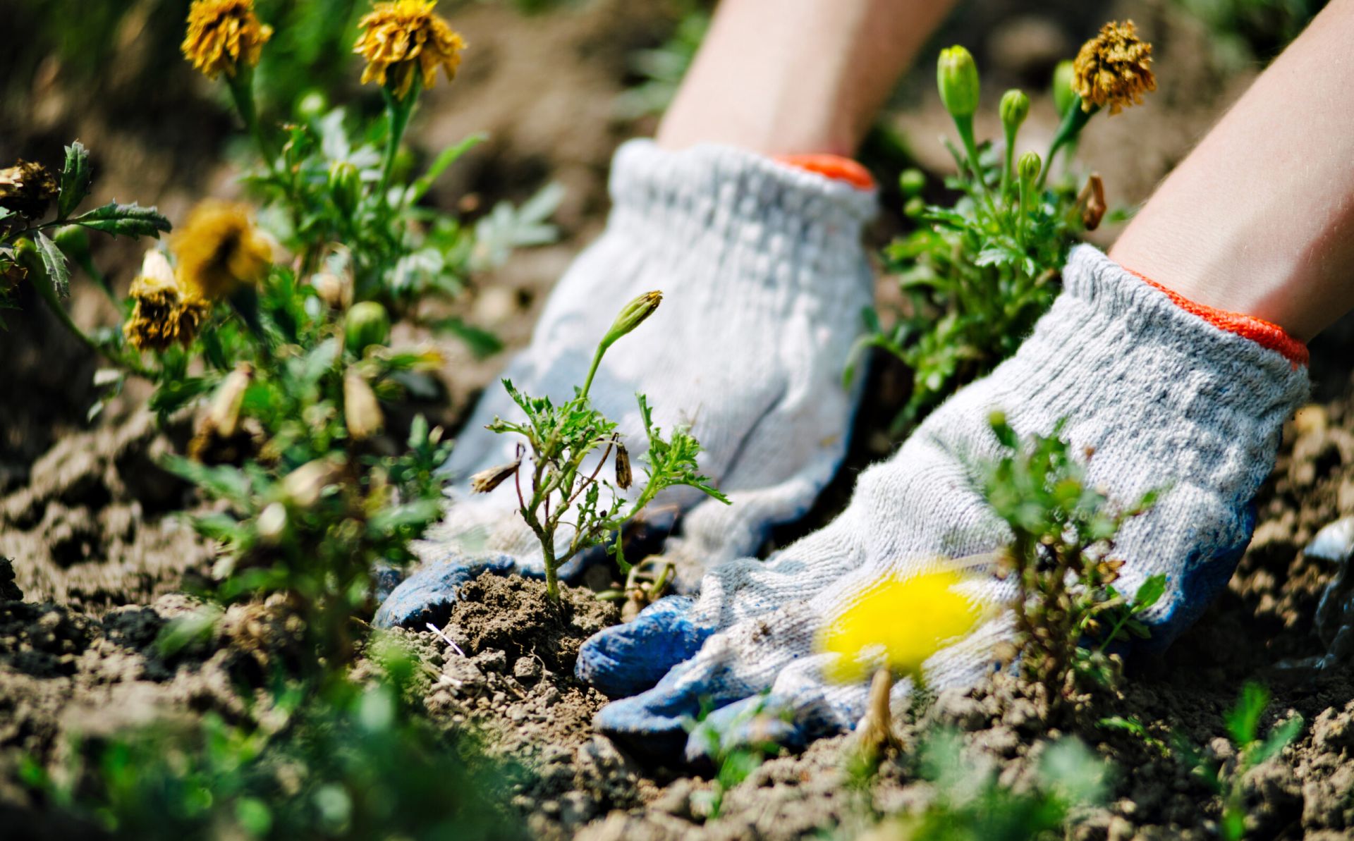 Blog: EaP Civil Society Fellowship as a driver of changes – building the eco future by ourselves
