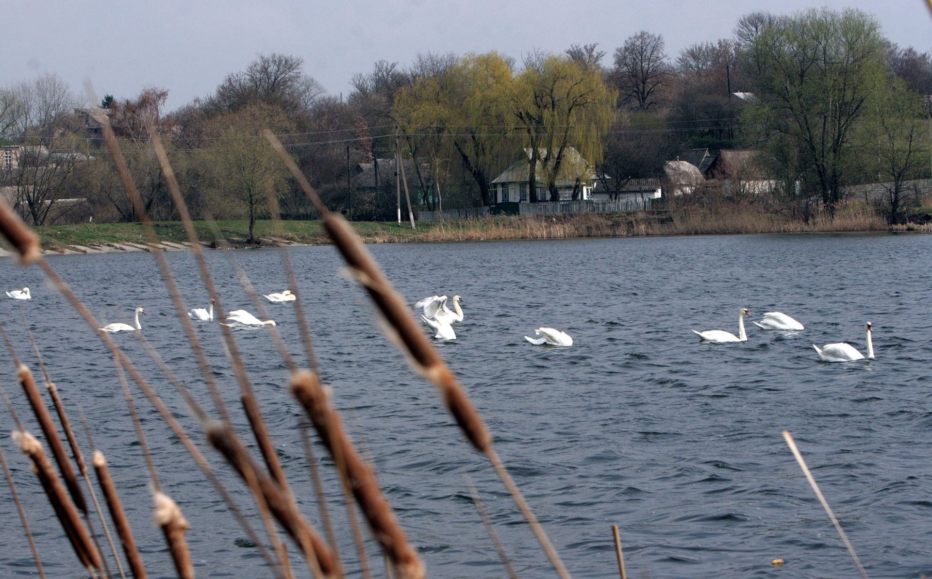 EU4Environment: Ukraine adopts eight River Basin Management Plans