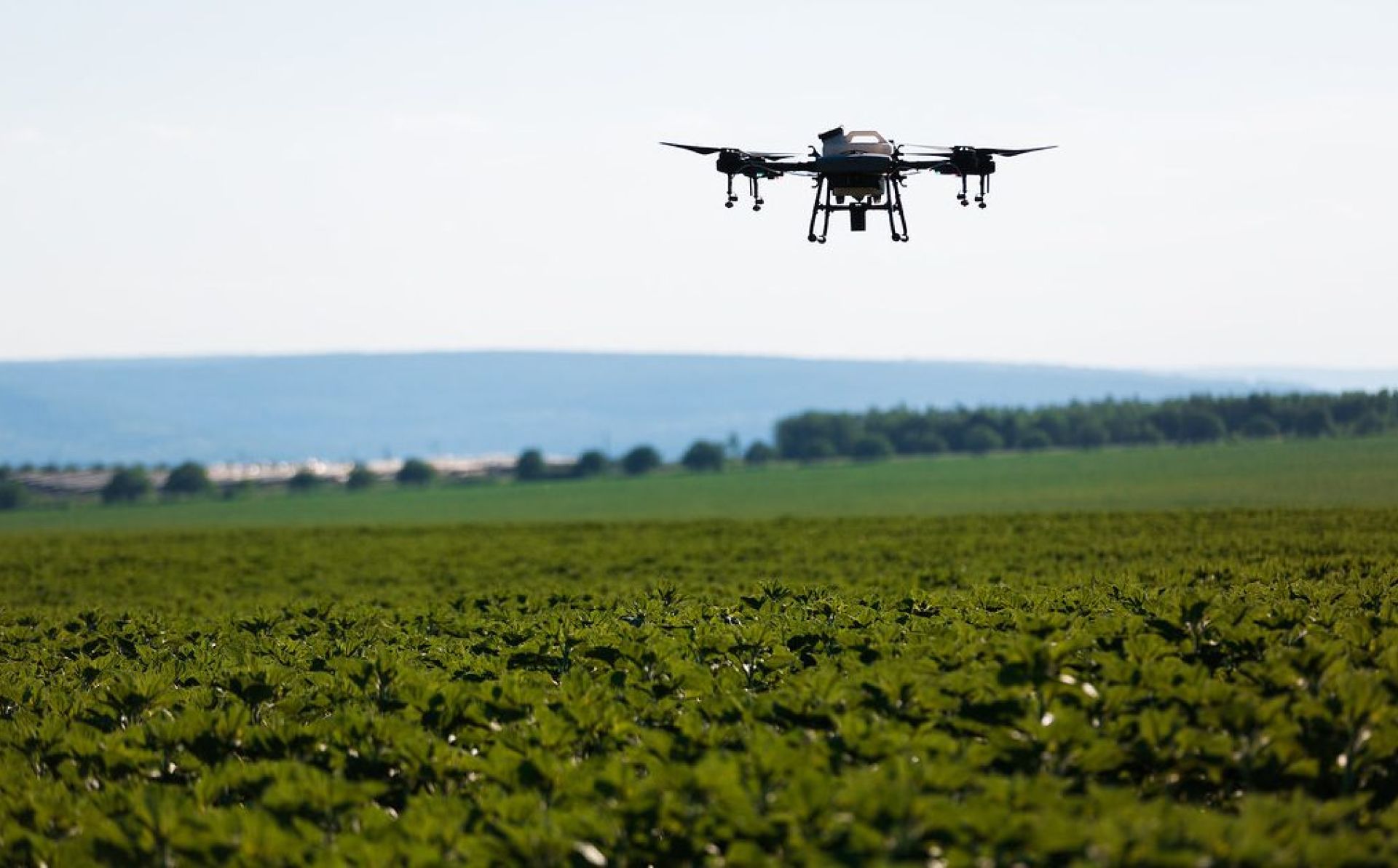 EBRD and EU step up support for digital and green investments