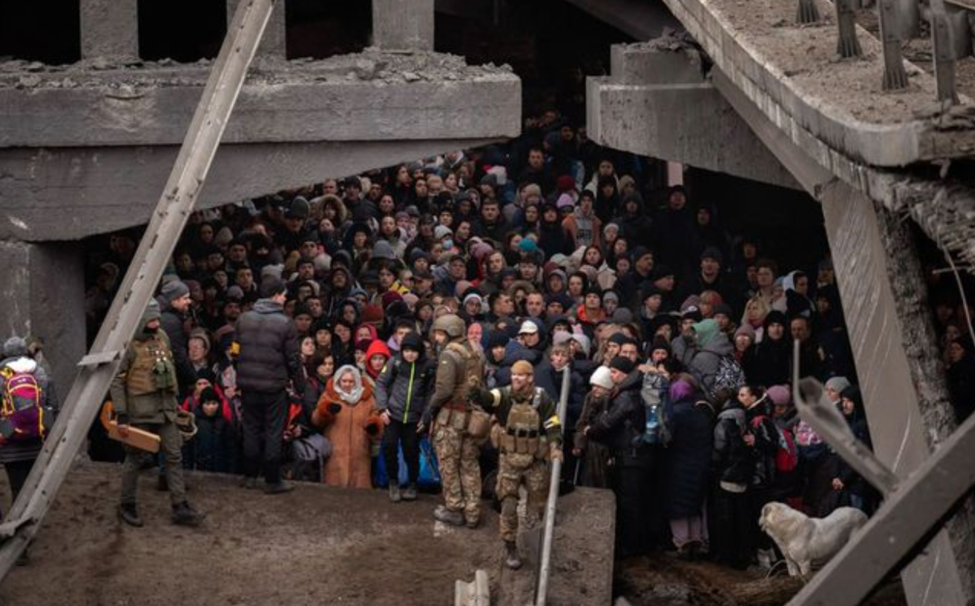 EU triples initial support to Ukrainian Armed Forces – up to €1.5 billion under the European Peace Facility