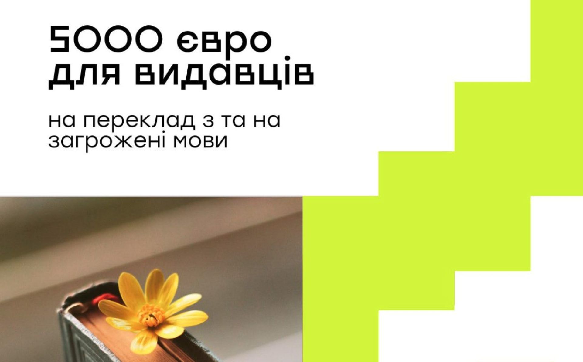 Дім Європи оголошує грантовий конкурс на переклад книг загроженими мовами