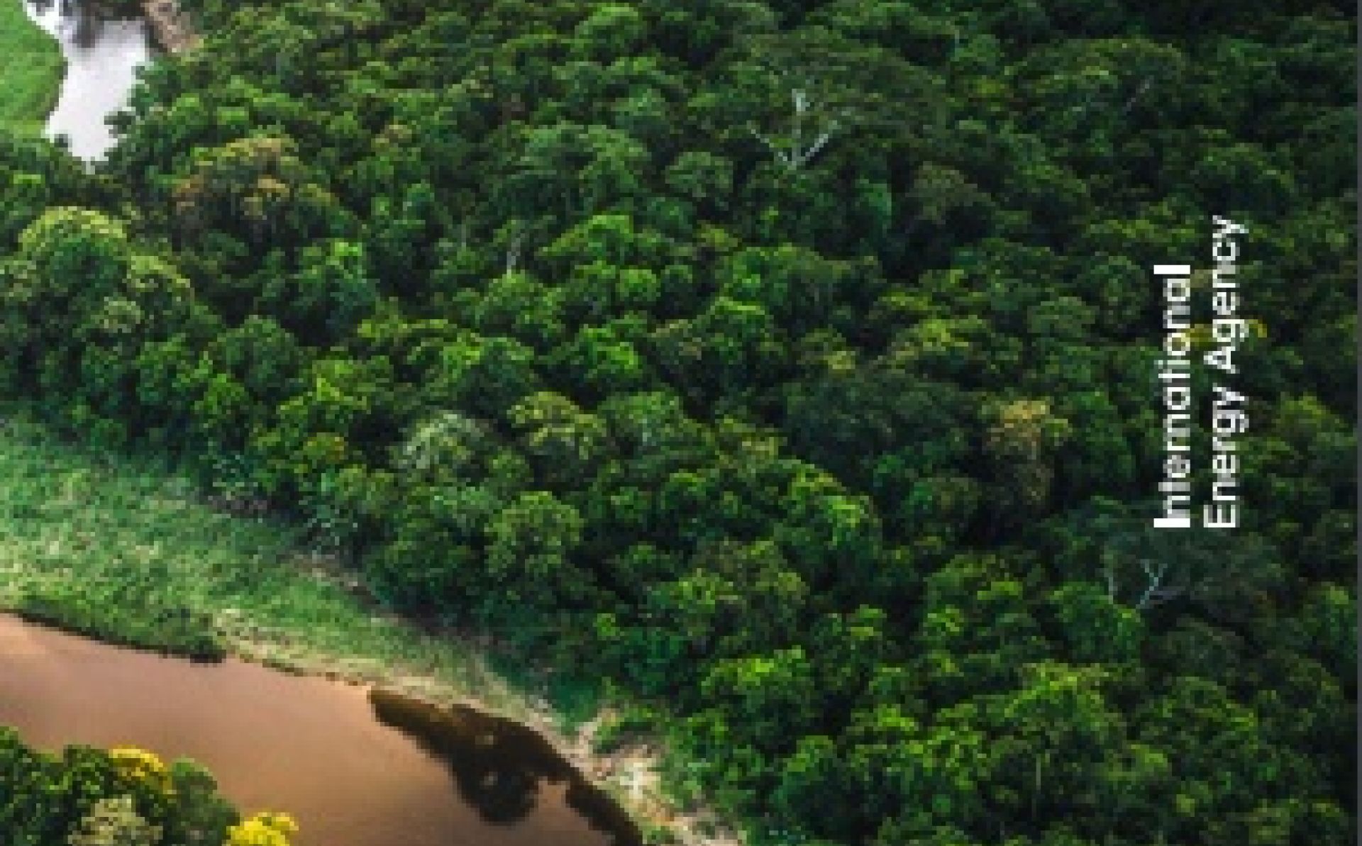 World Energy Outlook Special Report, June 2020 – Sustainable Recovery