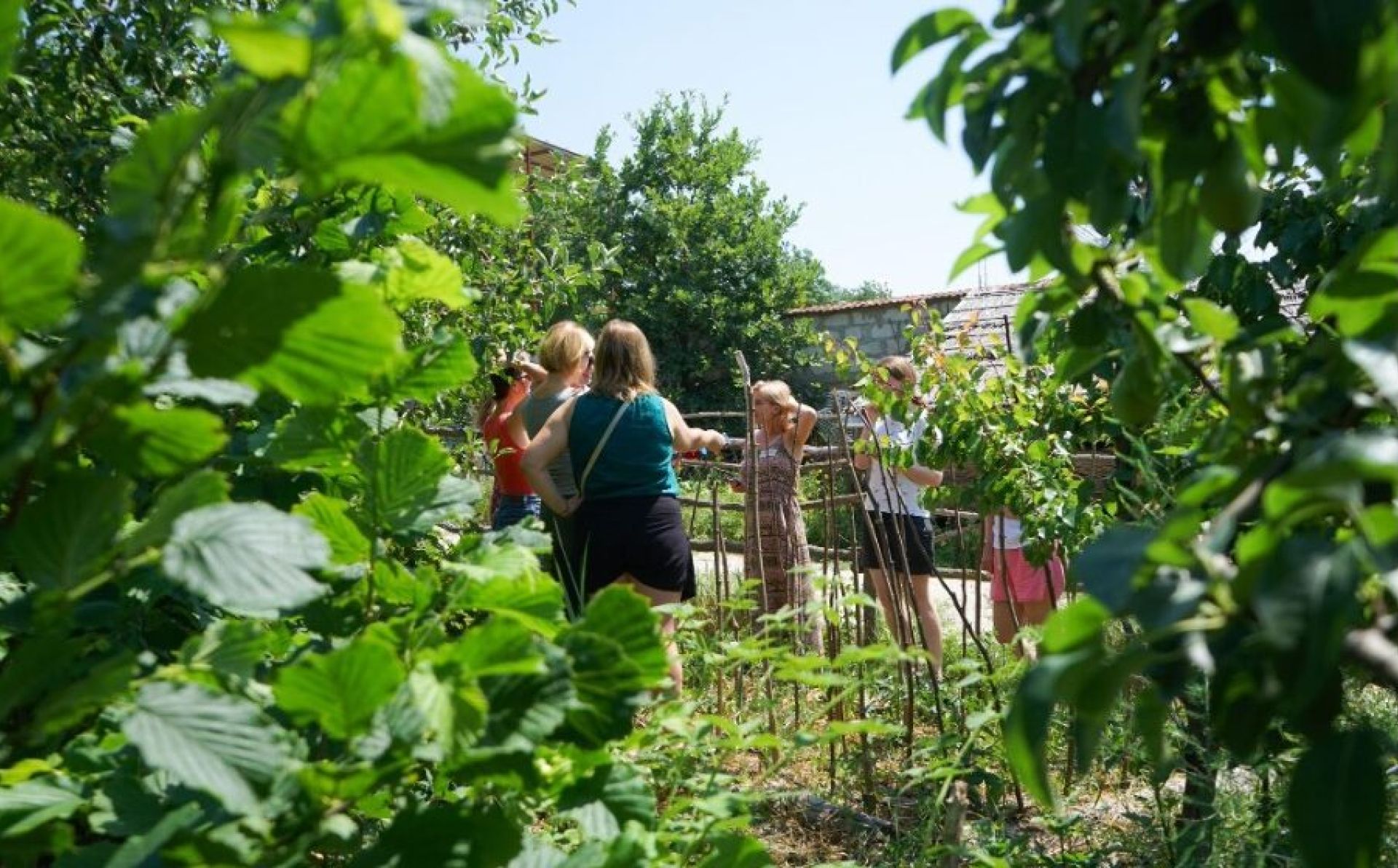 EcoVisio Moldova: pioneering sustainable practices for a greener future