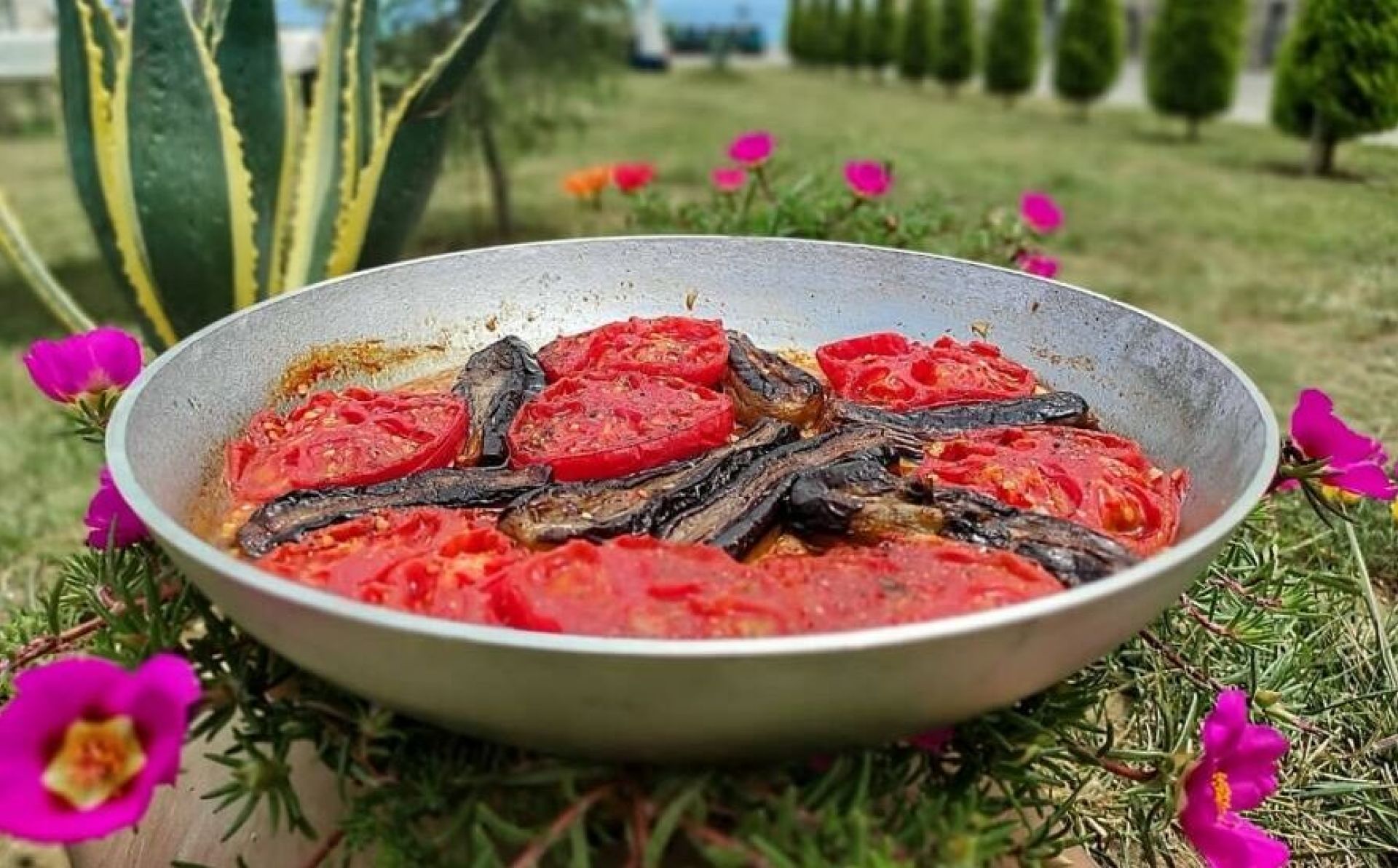 YEA Cookbook: Azerbaijani Badimjan Sirdagh