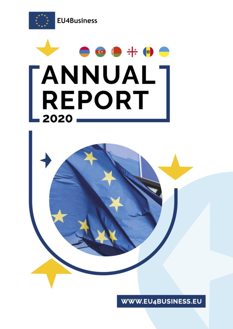 EU4Business: Ежегодный отчет-2020